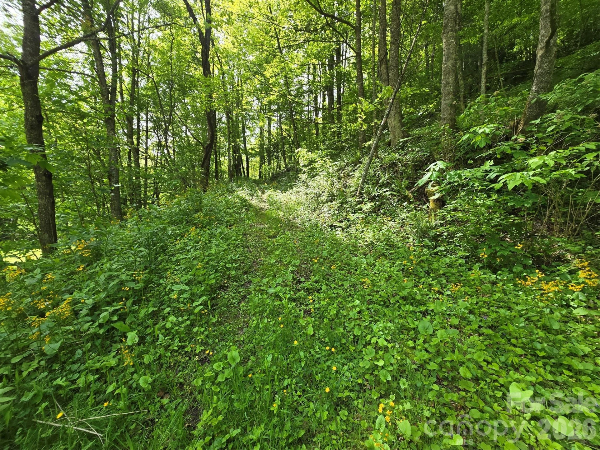 99999 Roaring Fork Road - Photo 14