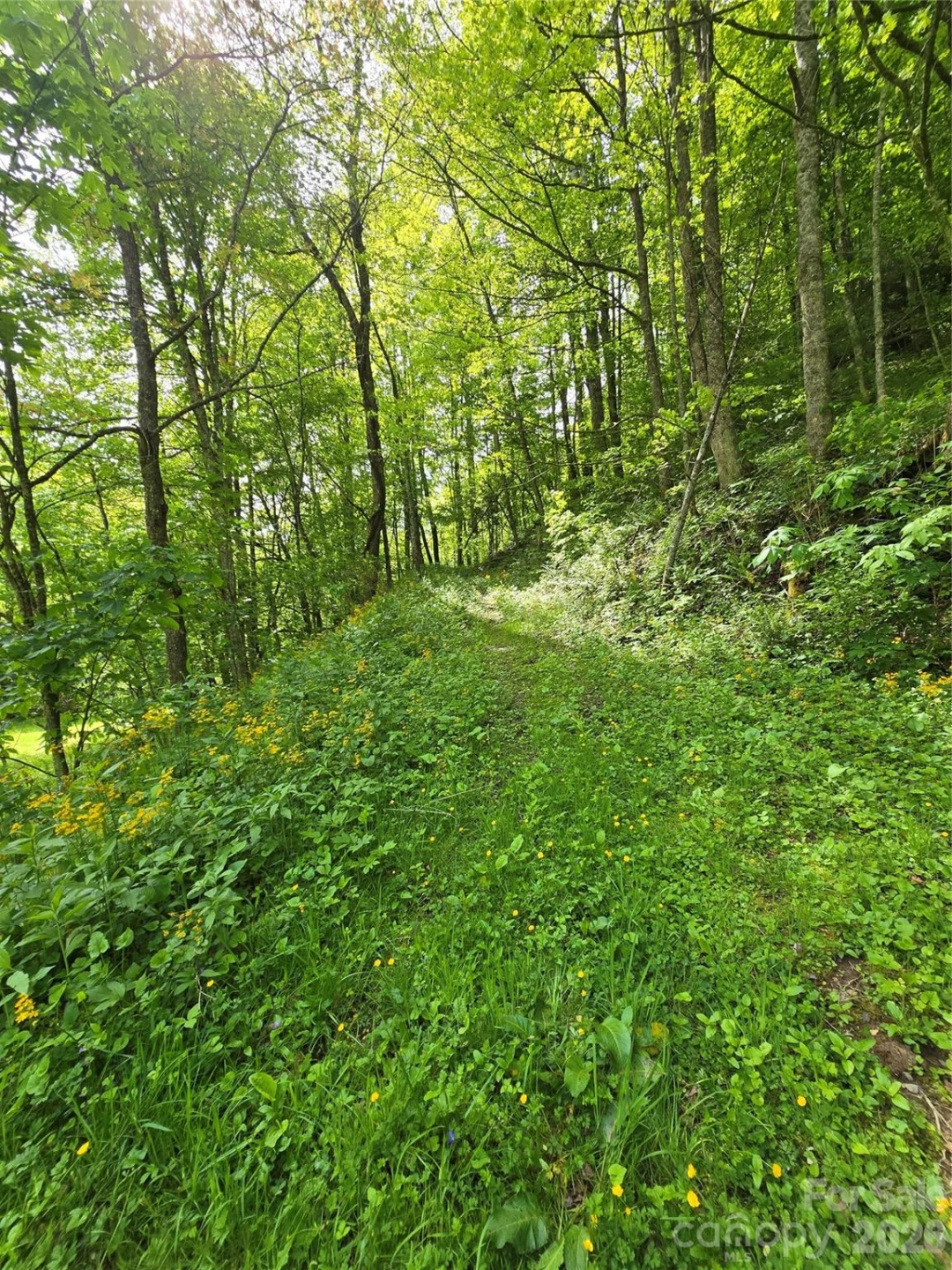 99999 Roaring Fork Road - Photo 15