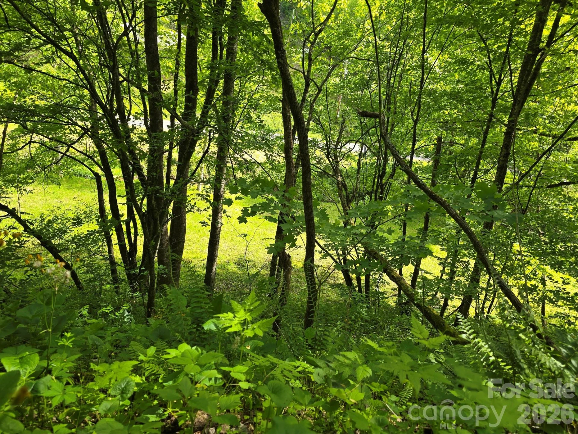 99999 Roaring Fork Road - Photo 16