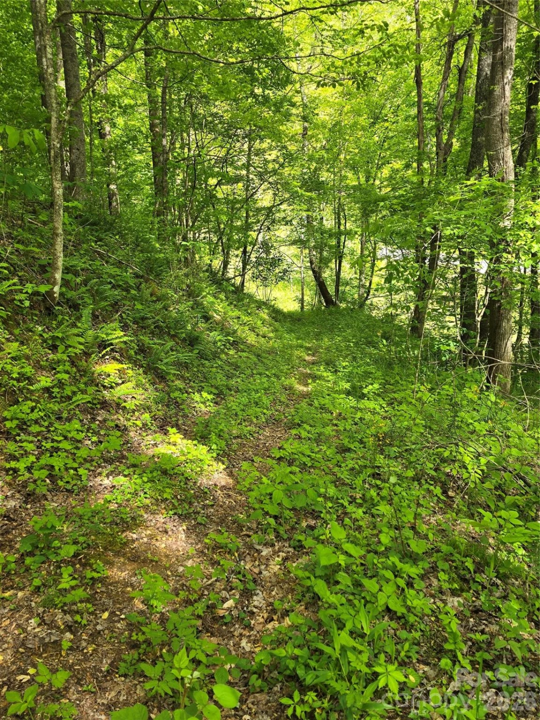 99999 Roaring Fork Road - Photo 17