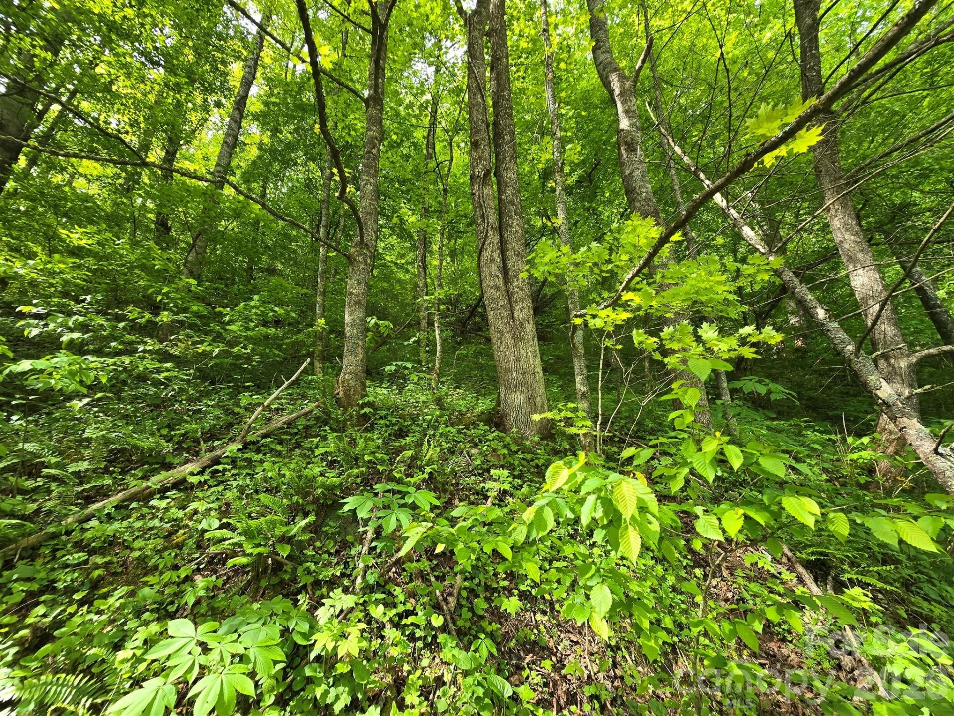 99999 Roaring Fork Road - Photo 18