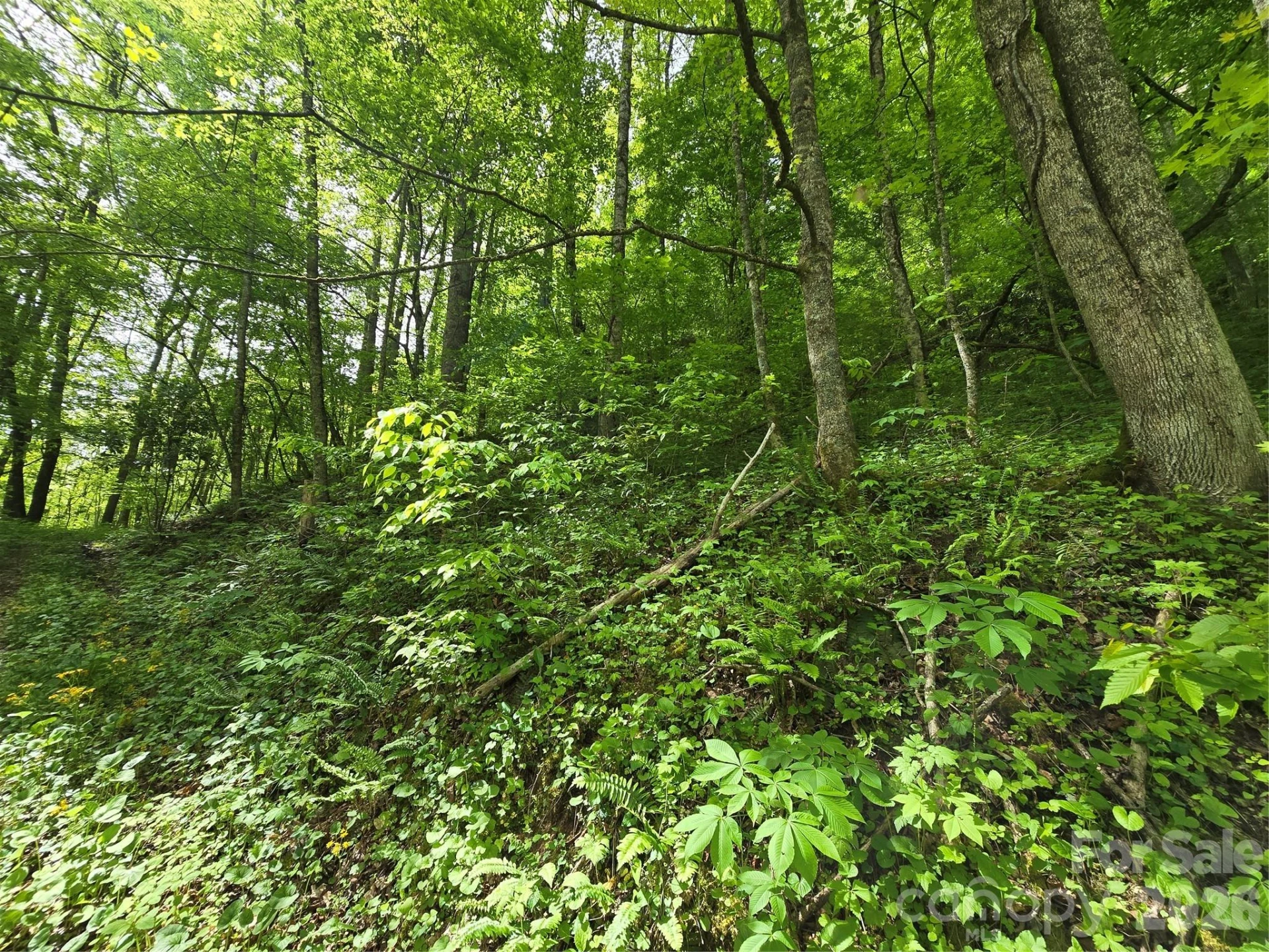 99999 Roaring Fork Road - Photo 19
