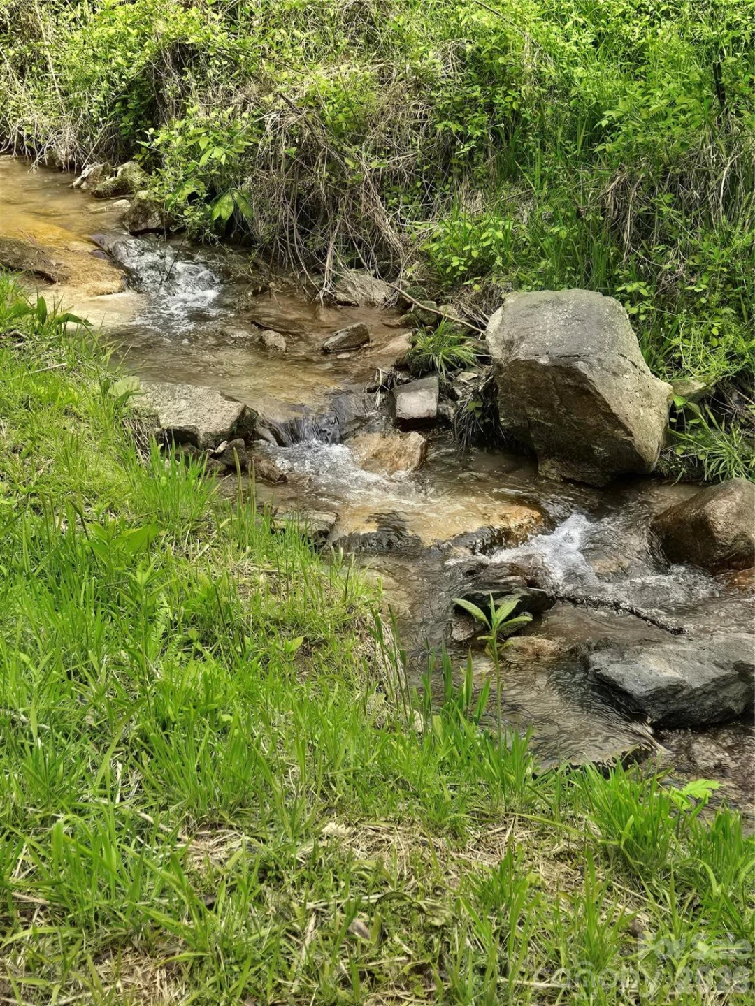 99999 Roaring Fork Road - Photo 4
