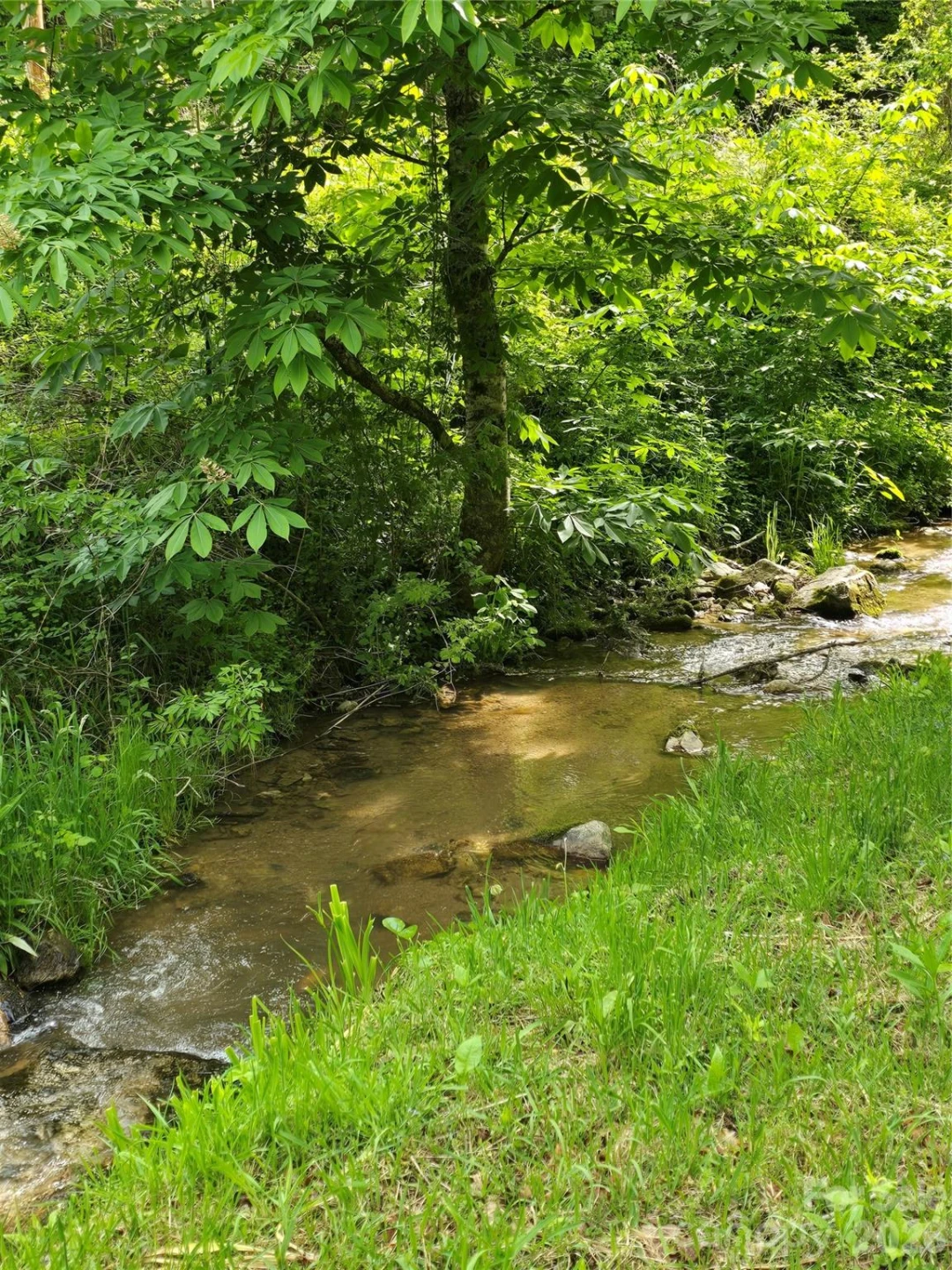 99999 Roaring Fork Road - Photo 5