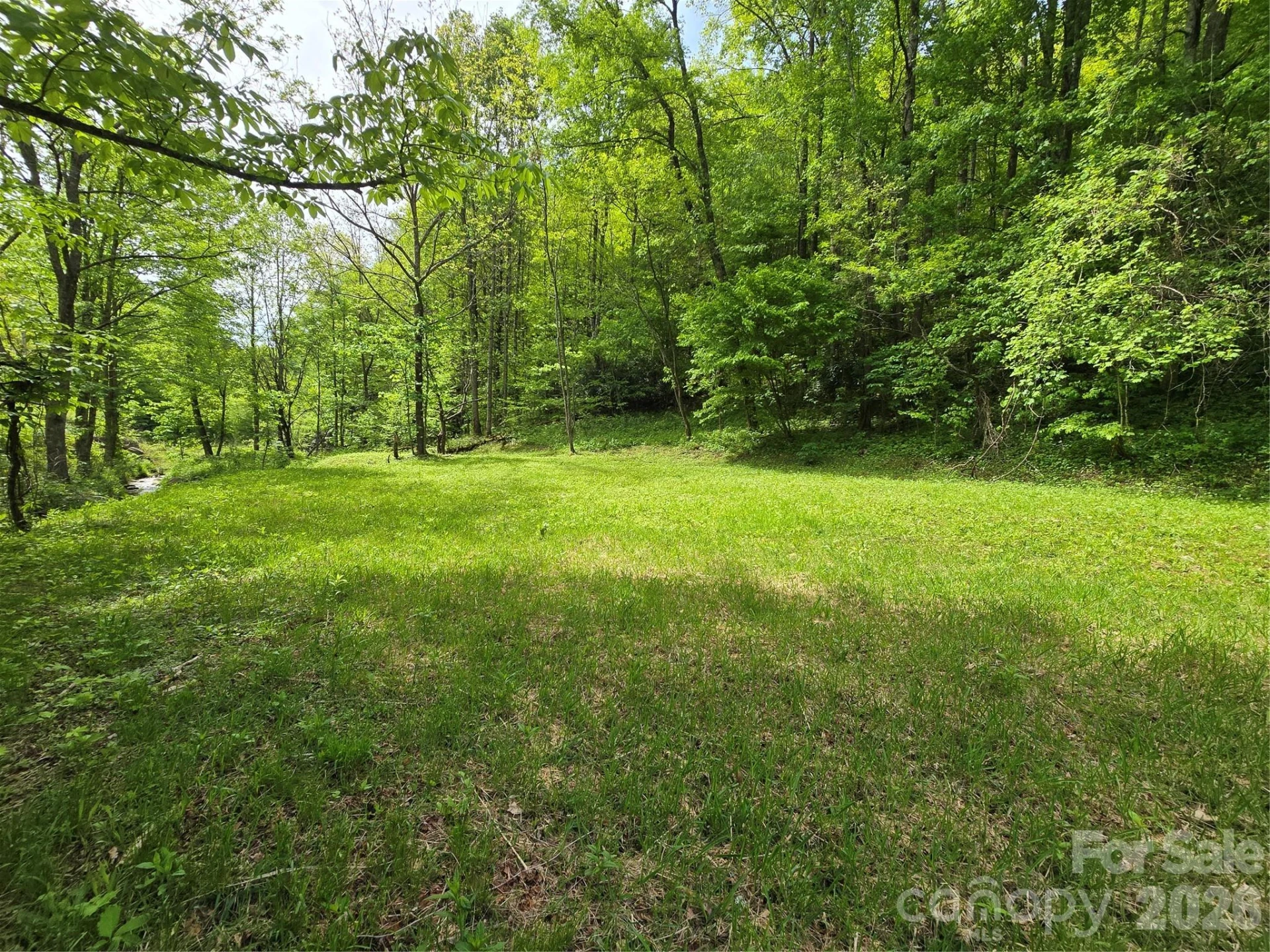 99999 Roaring Fork Road - Photo 6