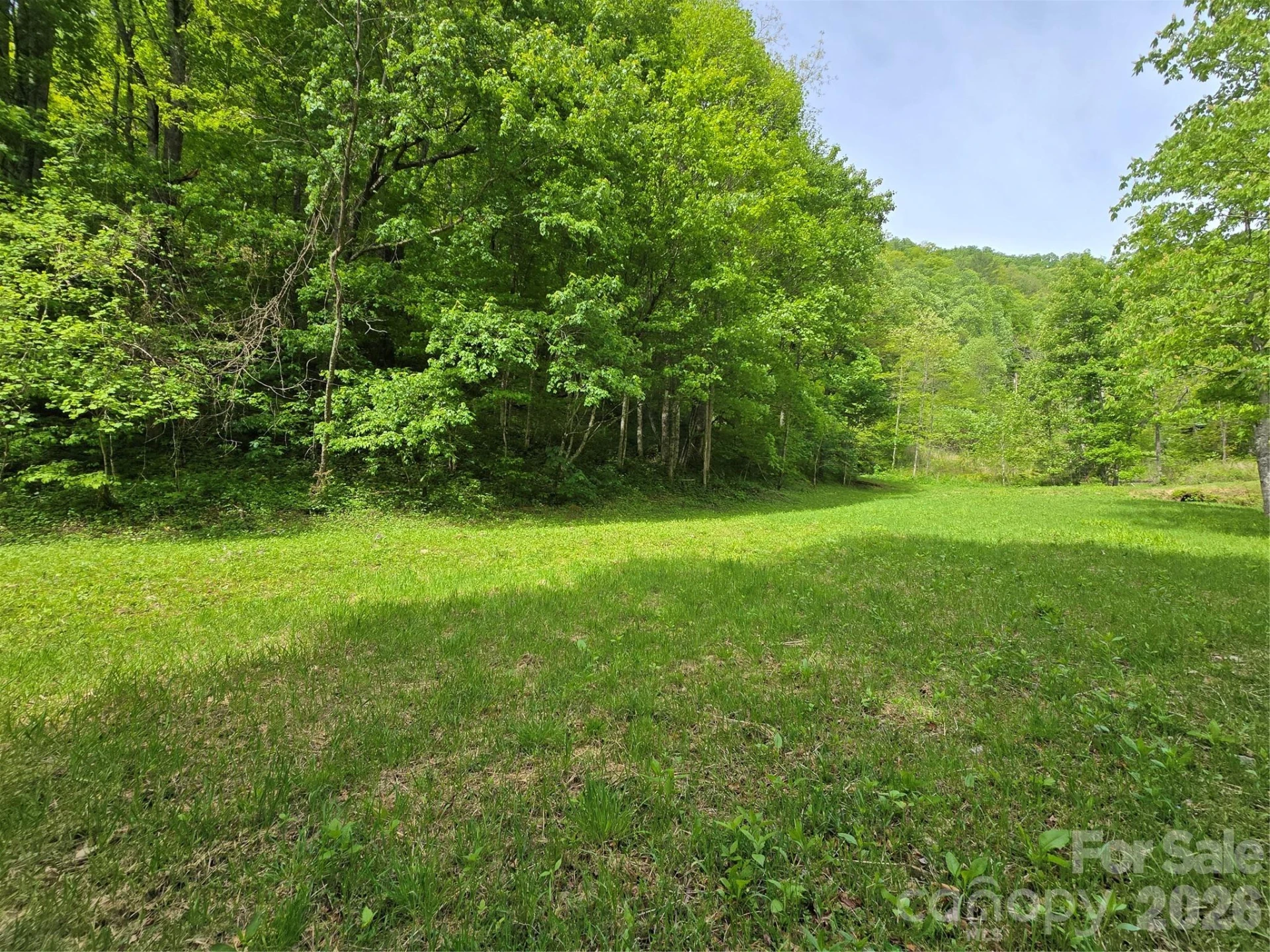 99999 Roaring Fork Road - Photo 7
