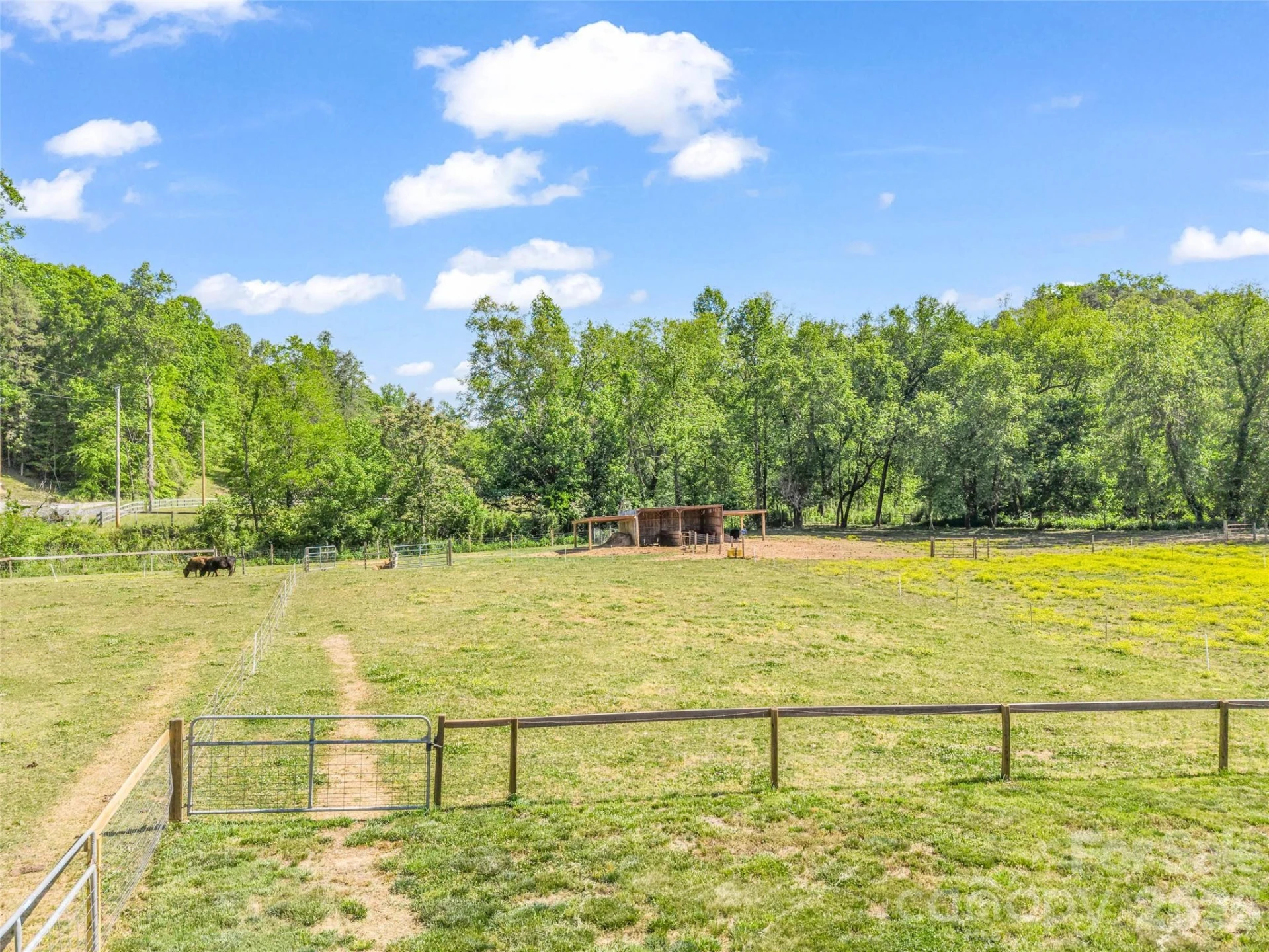400 Calhoun Trail - Photo 37