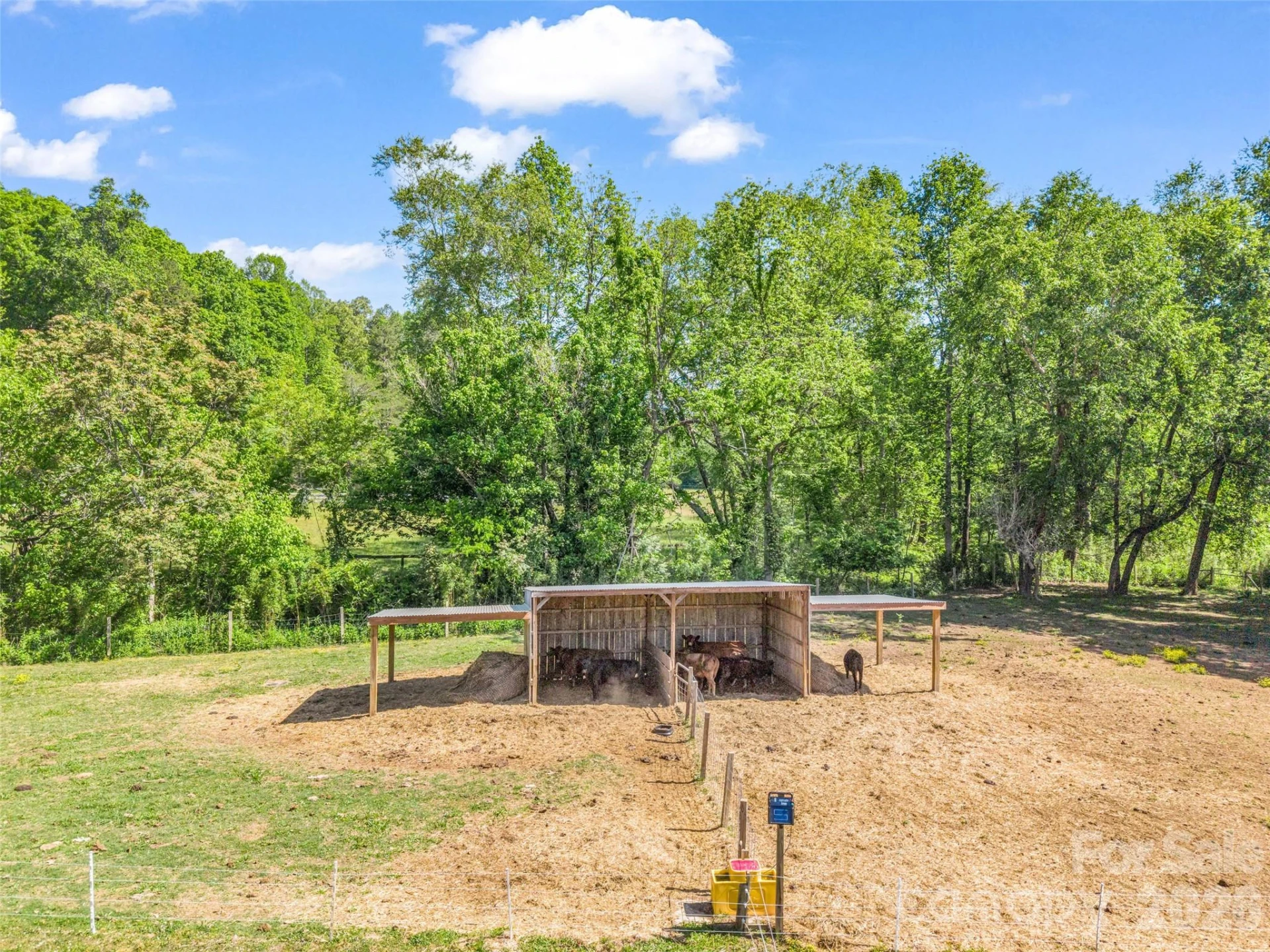 400 Calhoun Trail - Photo 38