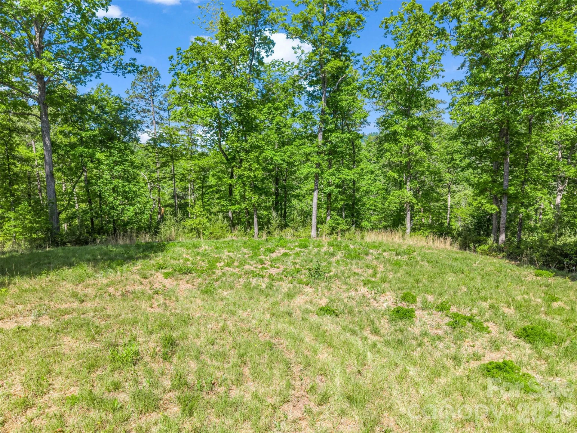 400 Calhoun Trail - Photo 47