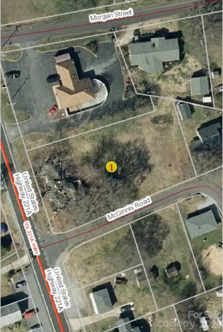617 US 221 Highway - Photo 19