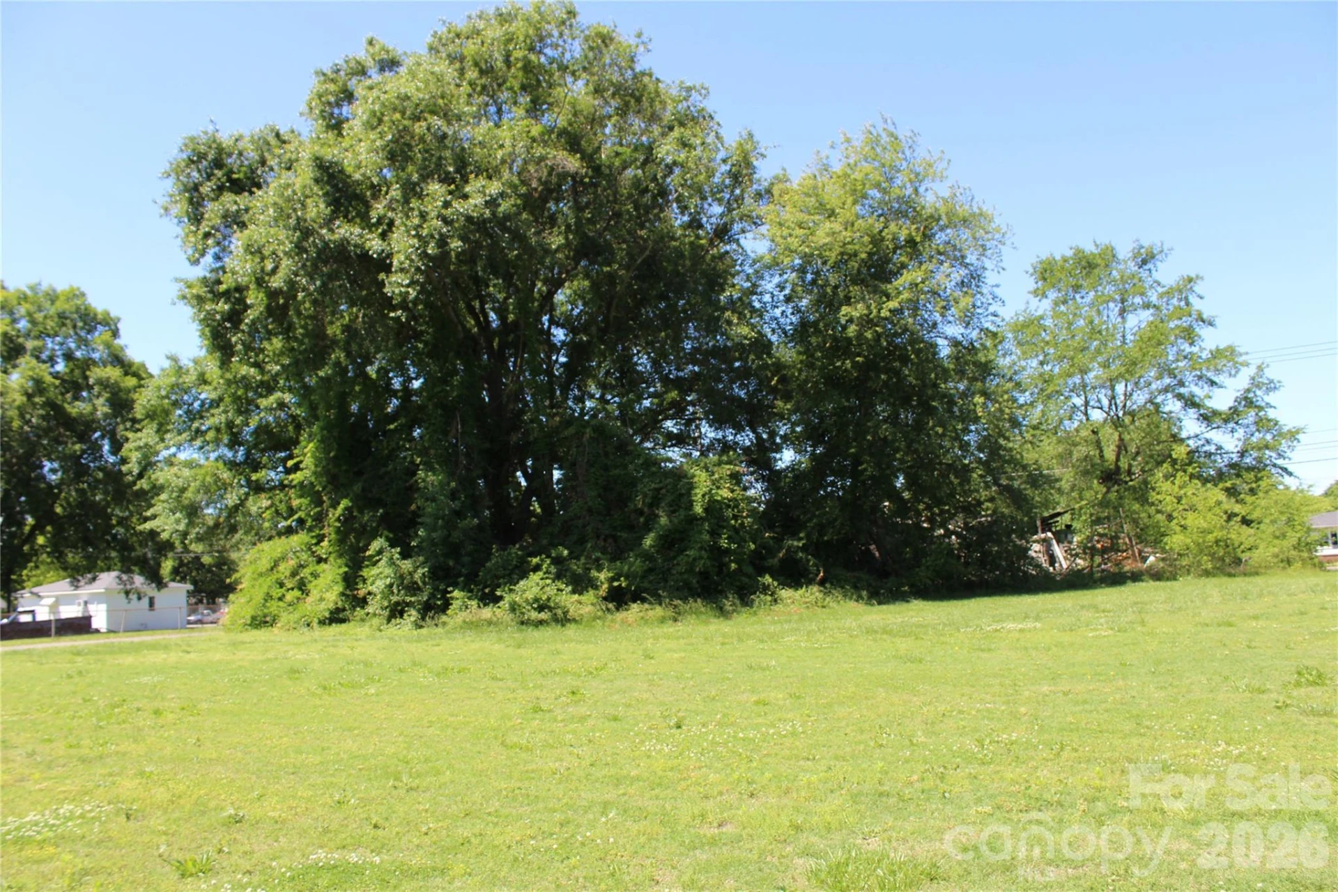 617 US 221 Highway - Photo 7