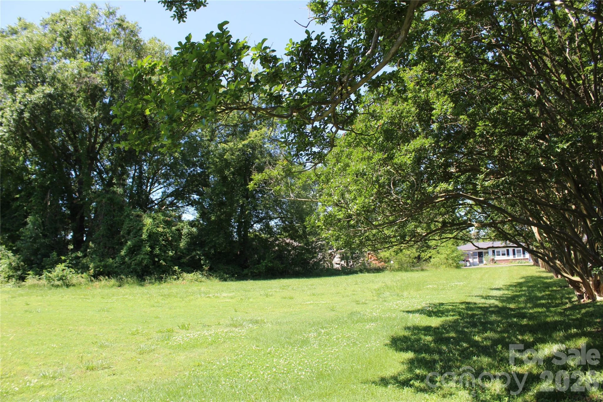 617 US 221 Highway - Photo 10