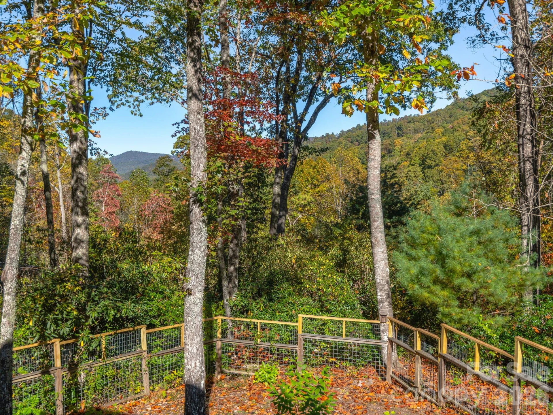 102 Carriage Drive - Photo 29