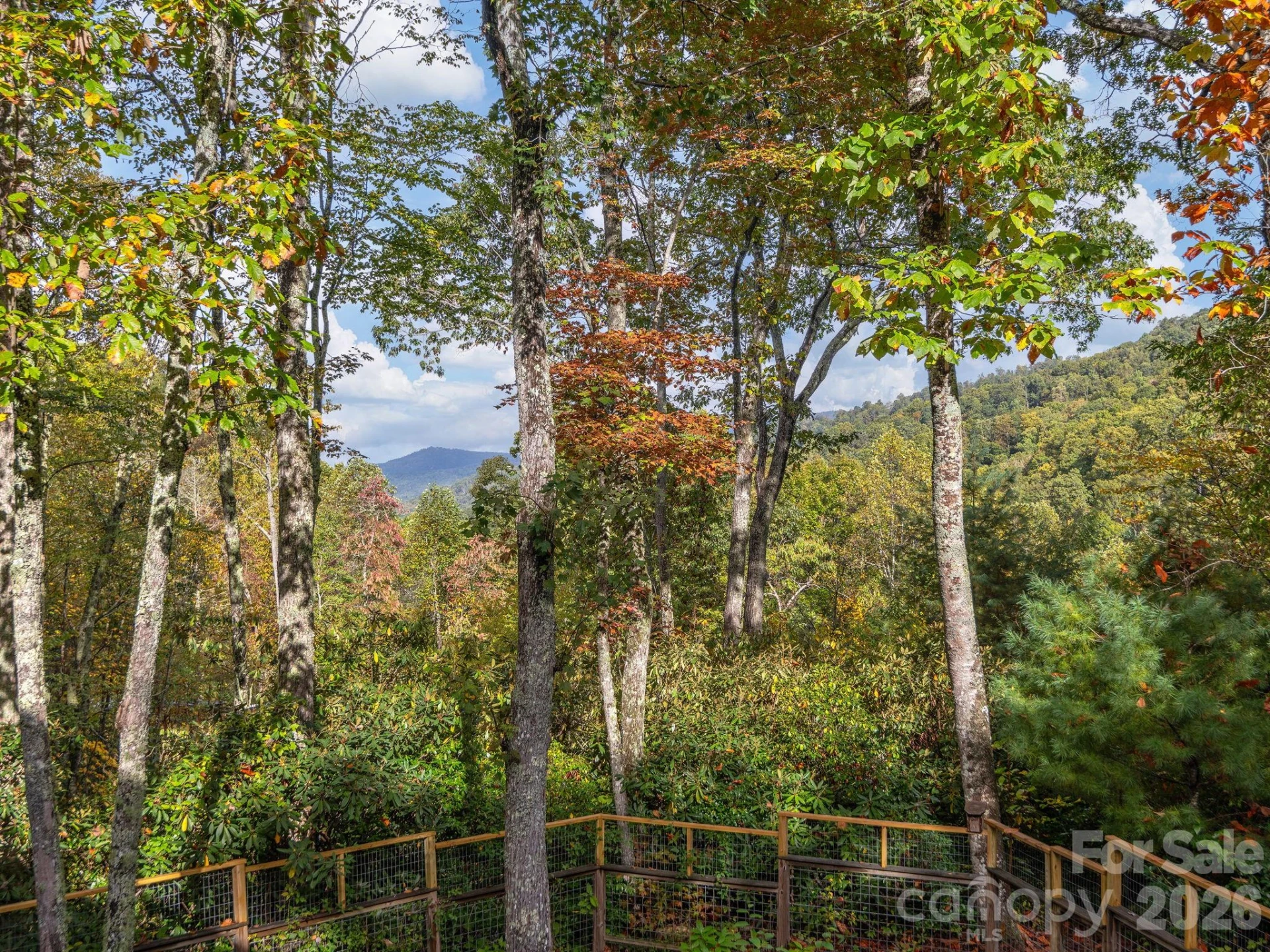 102 Carriage Drive - Photo 31