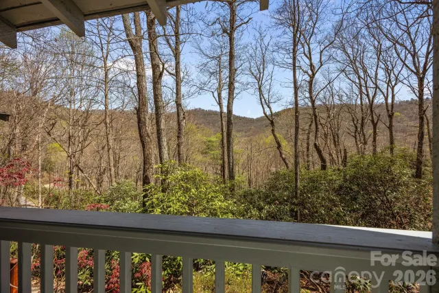 63 Chestnut Forest Road
