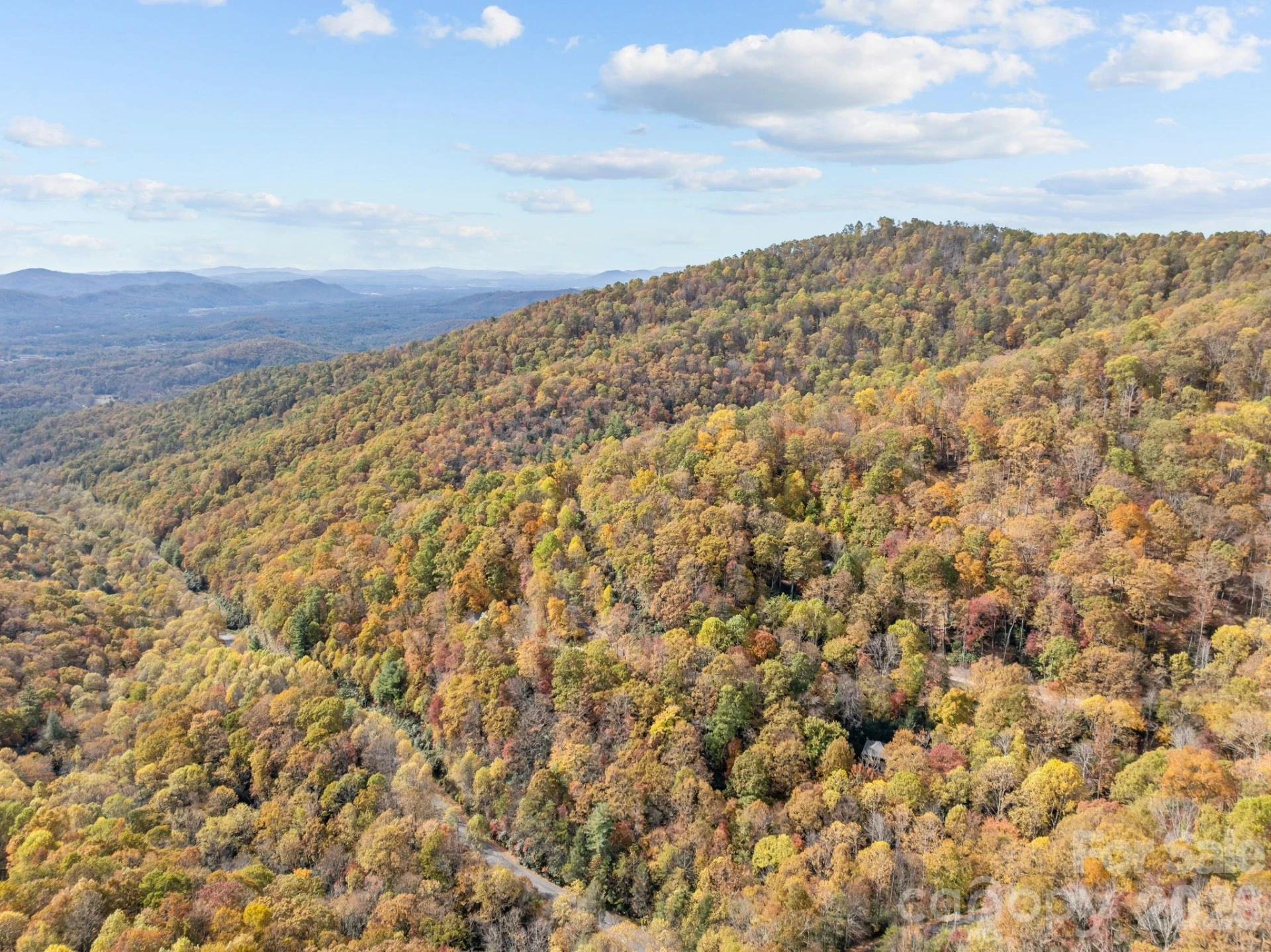 63 Chestnut Forest Road - Photo 45