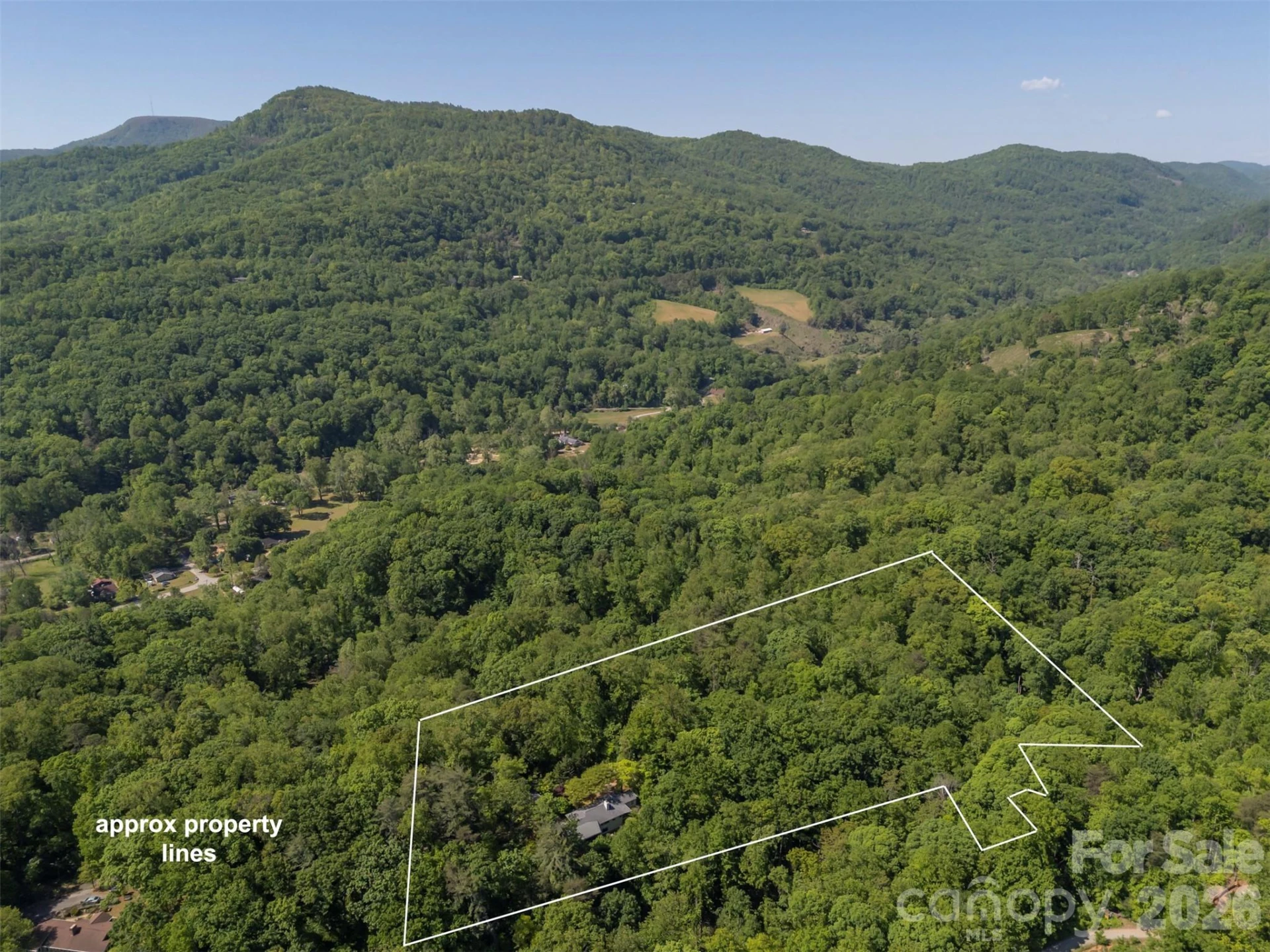 484 Sourwood Ridge Road - Photo 34