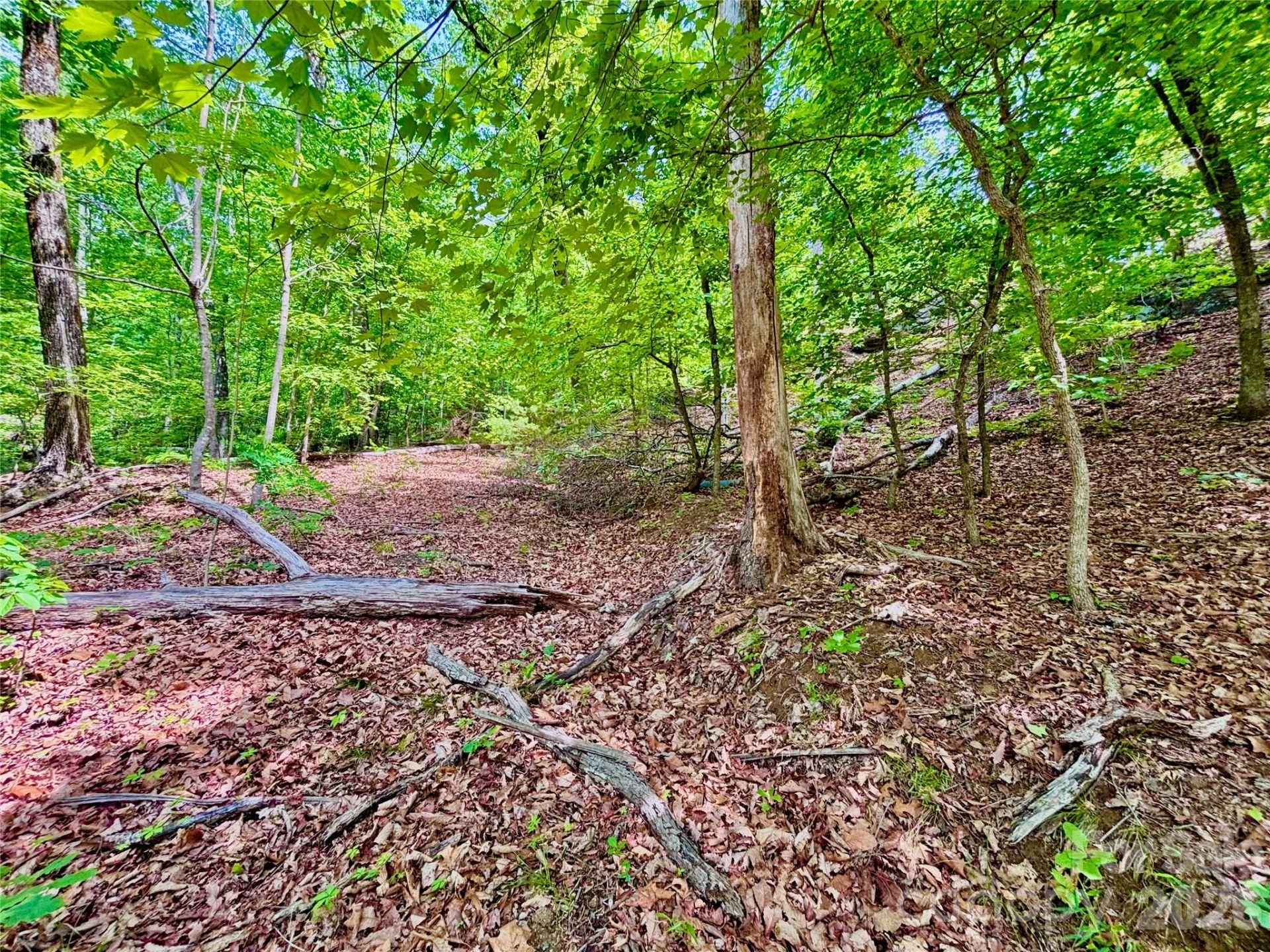 350 Springvalley Drive - Photo 2