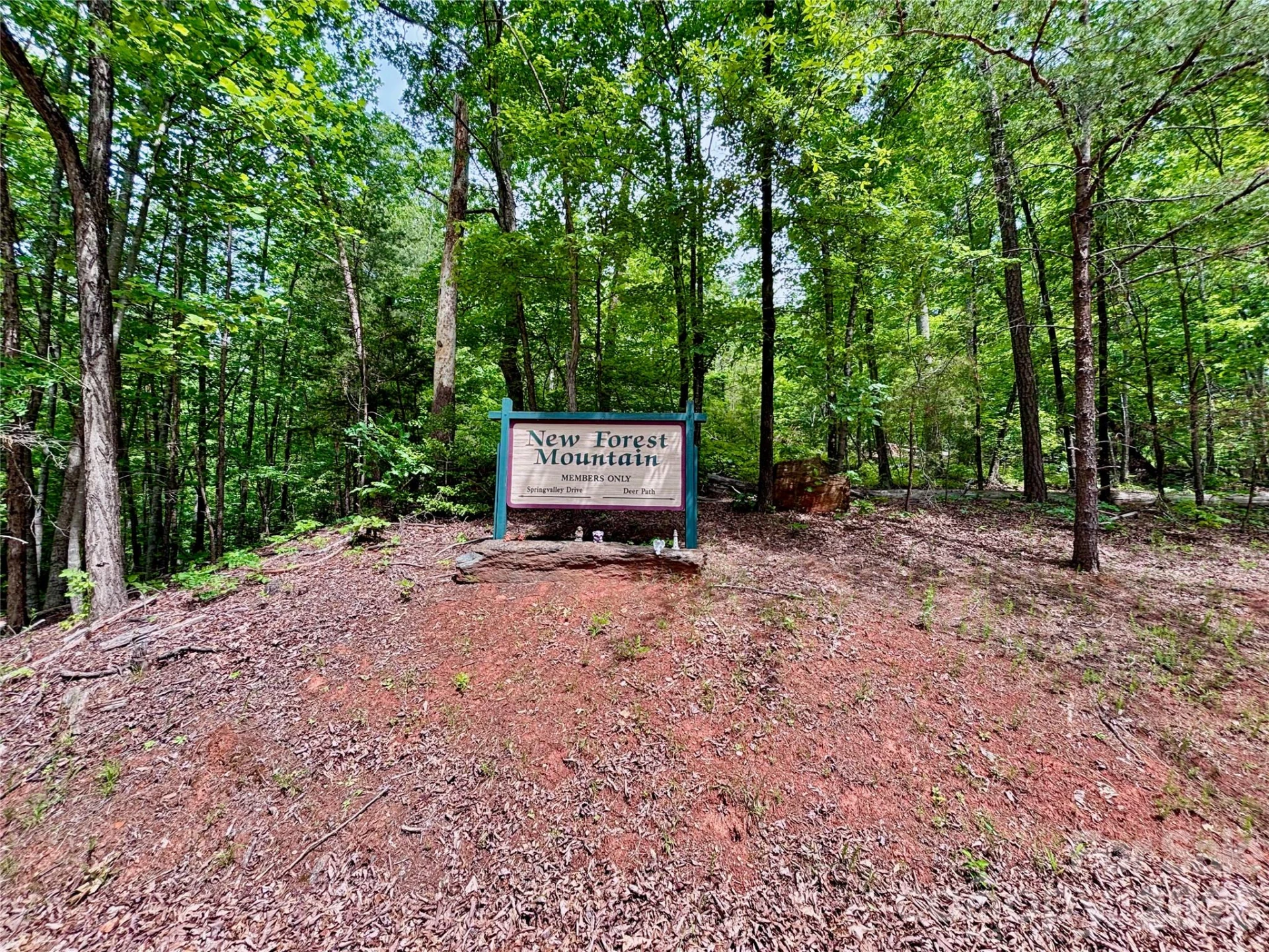 350 Springvalley Drive - Photo 12