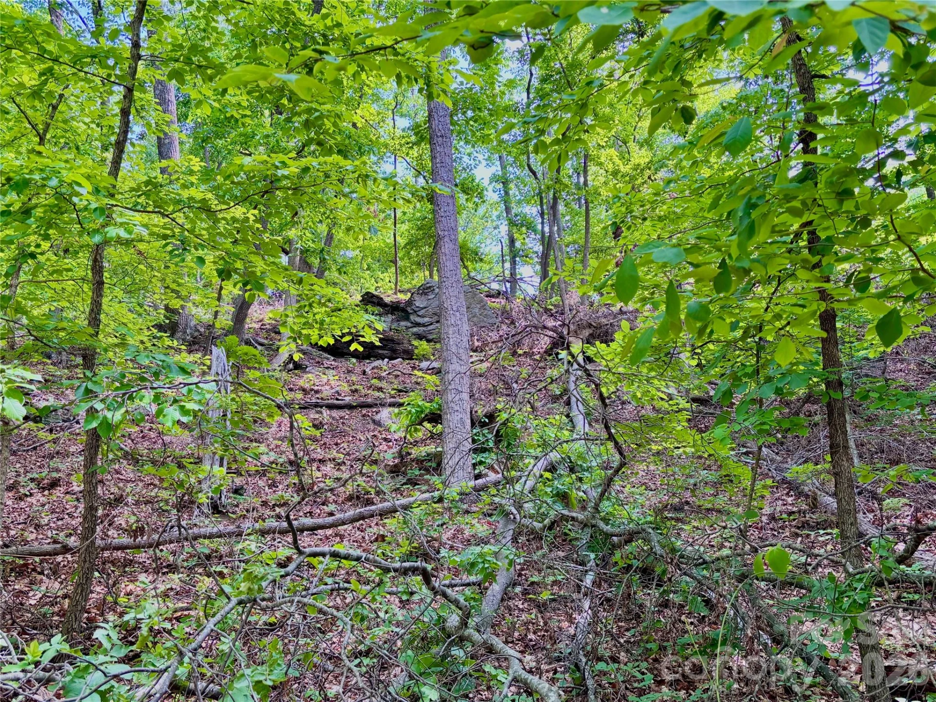 350 Springvalley Drive - Photo 3