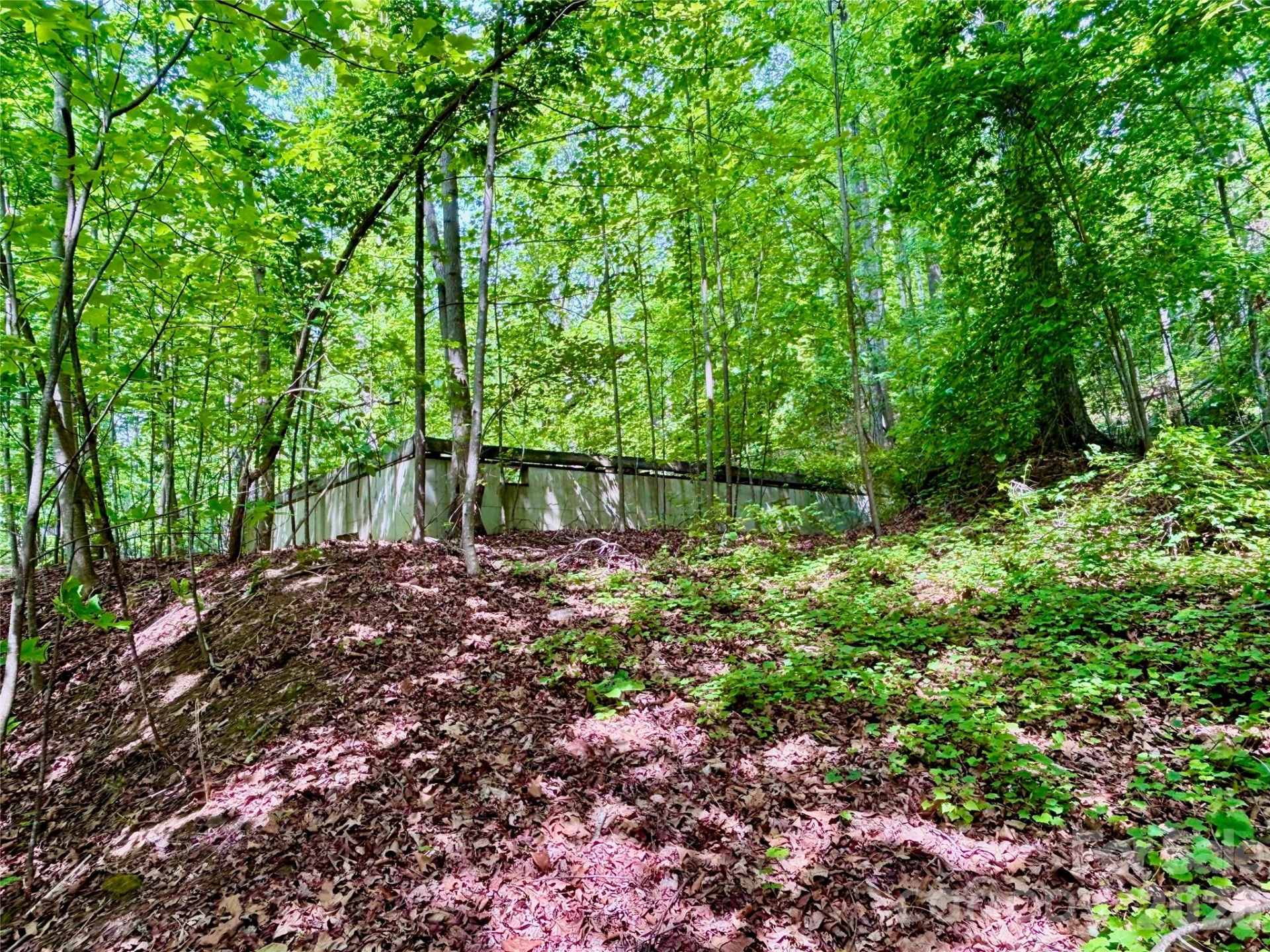 350 Springvalley Drive - Photo 4