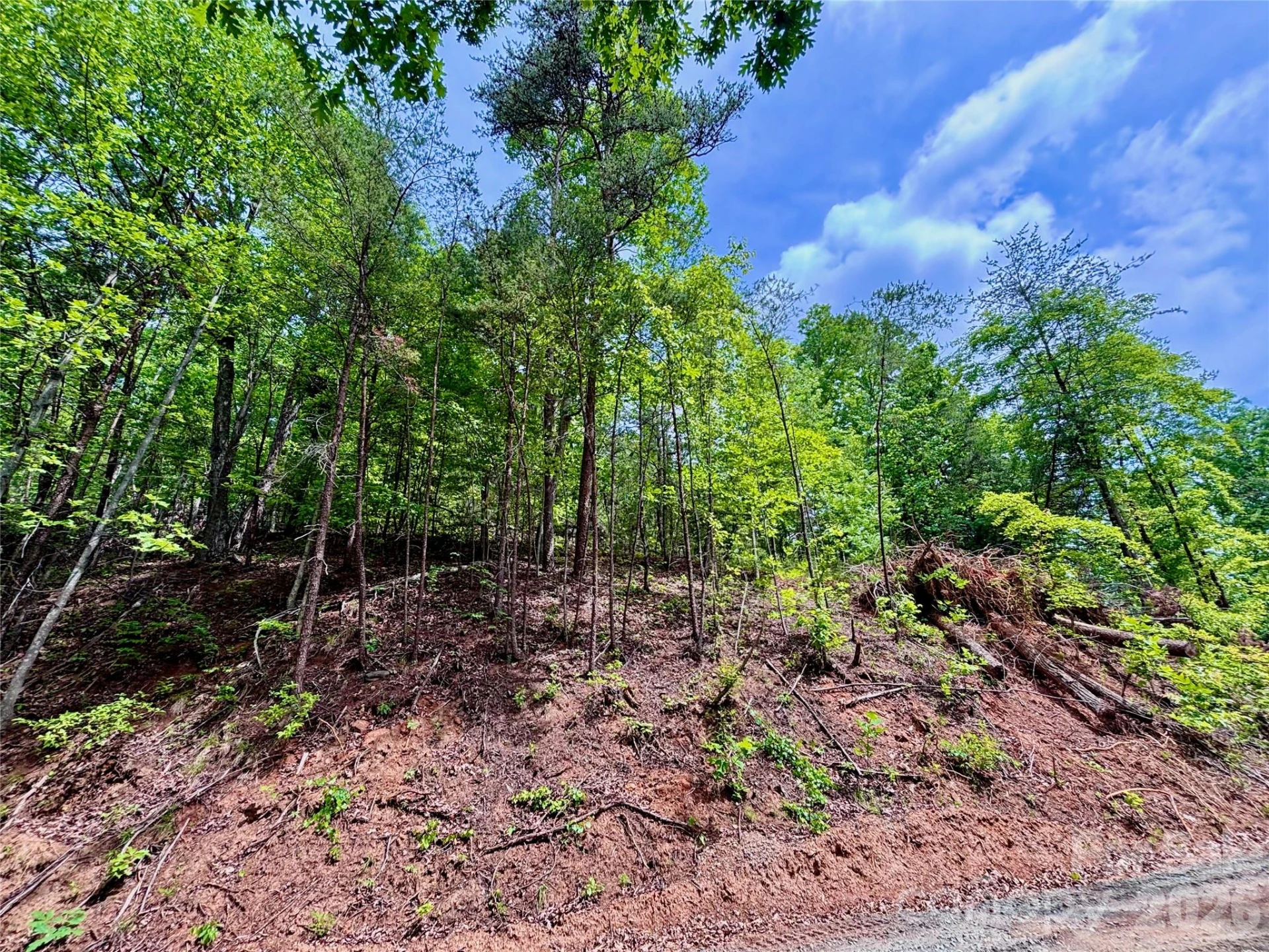 350 Springvalley Drive - Photo 8