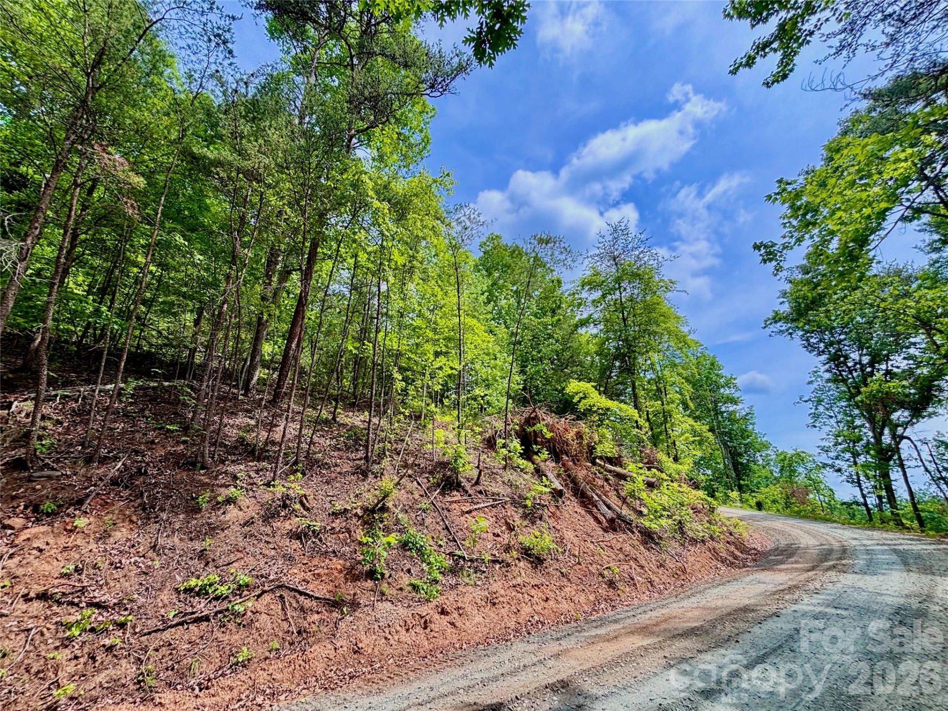 350 Springvalley Drive - Photo 9