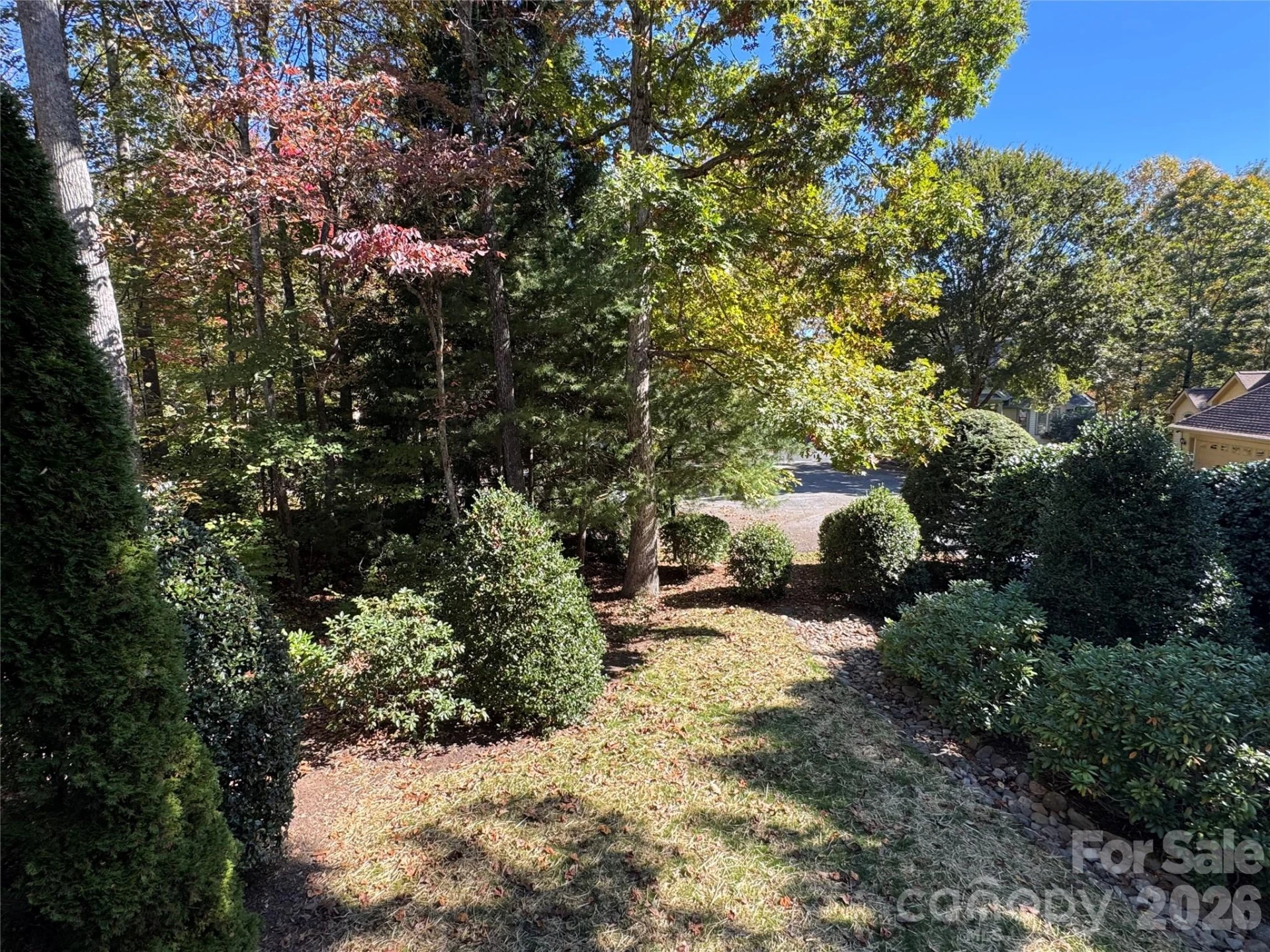 894 Dunroy Drive - Photo 5