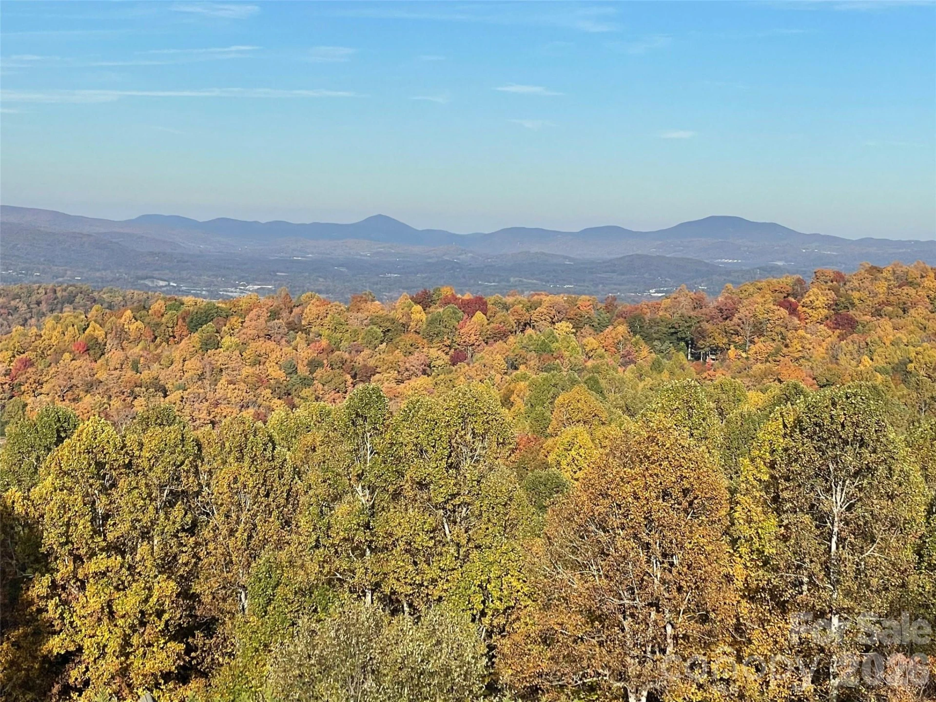 503 Fleetwood Plaza - Photo 10