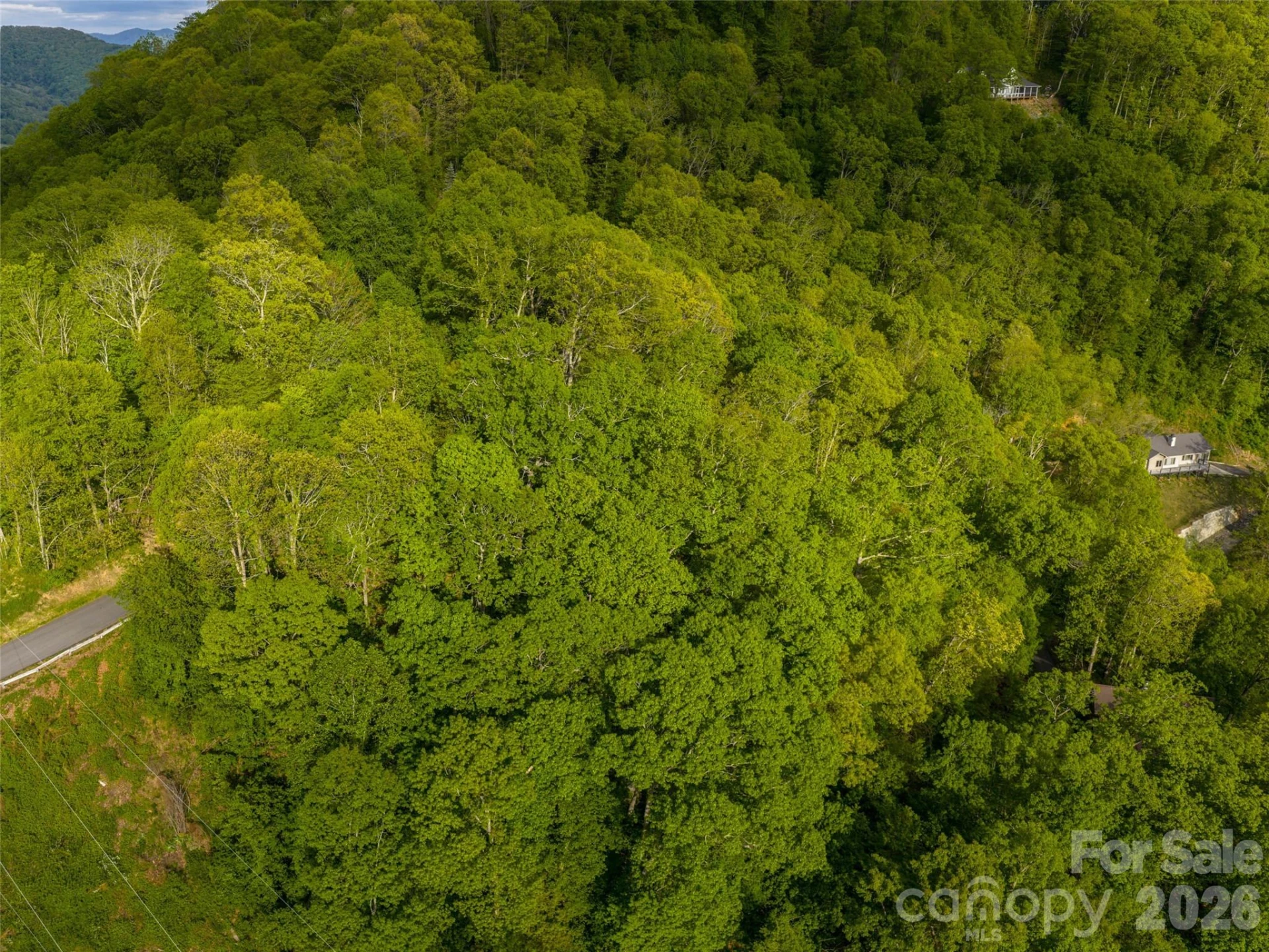 Lot 26 Fincher Mountain Road - Photo 14