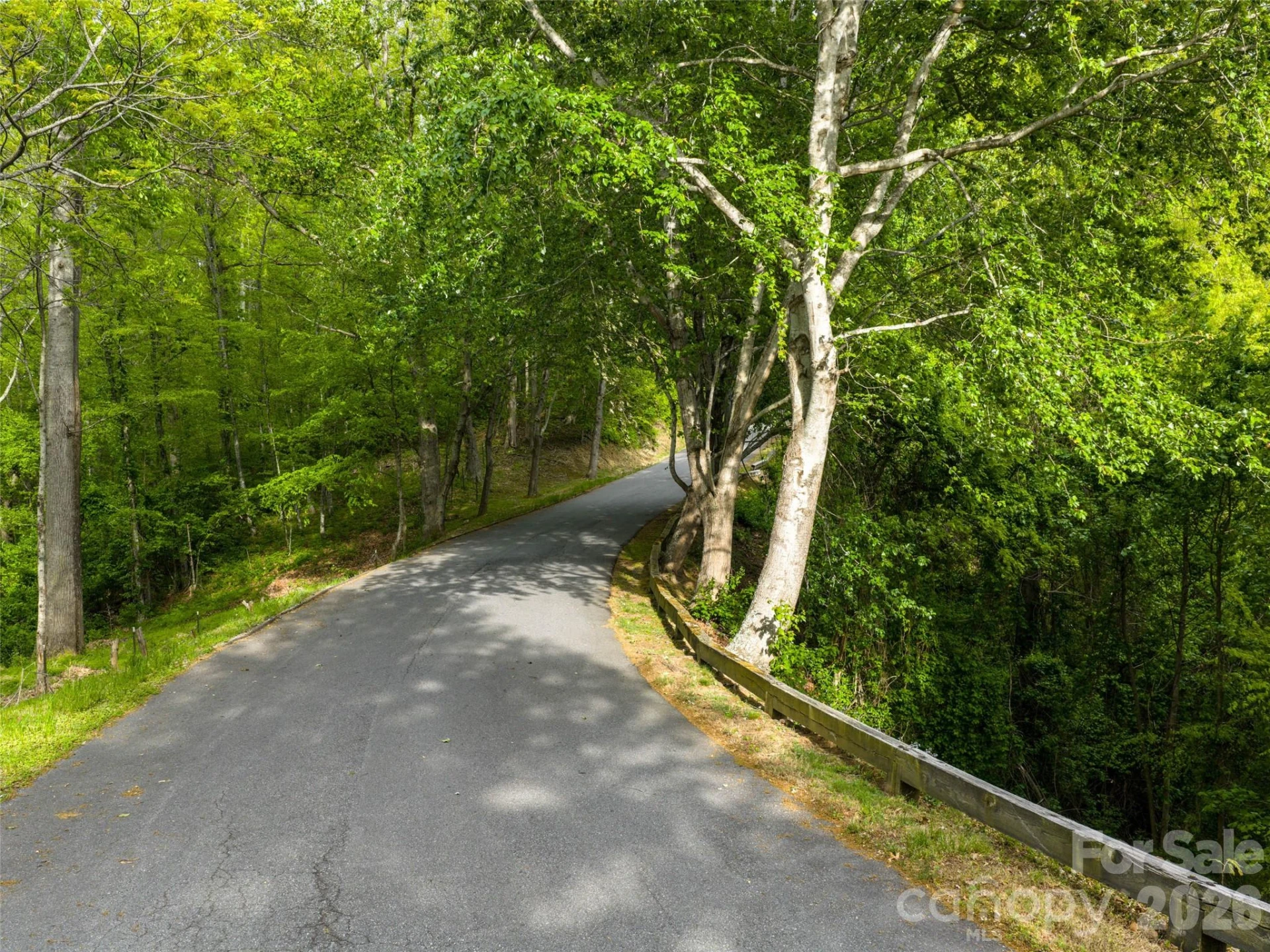 Lot 26 Fincher Mountain Road - Photo 6