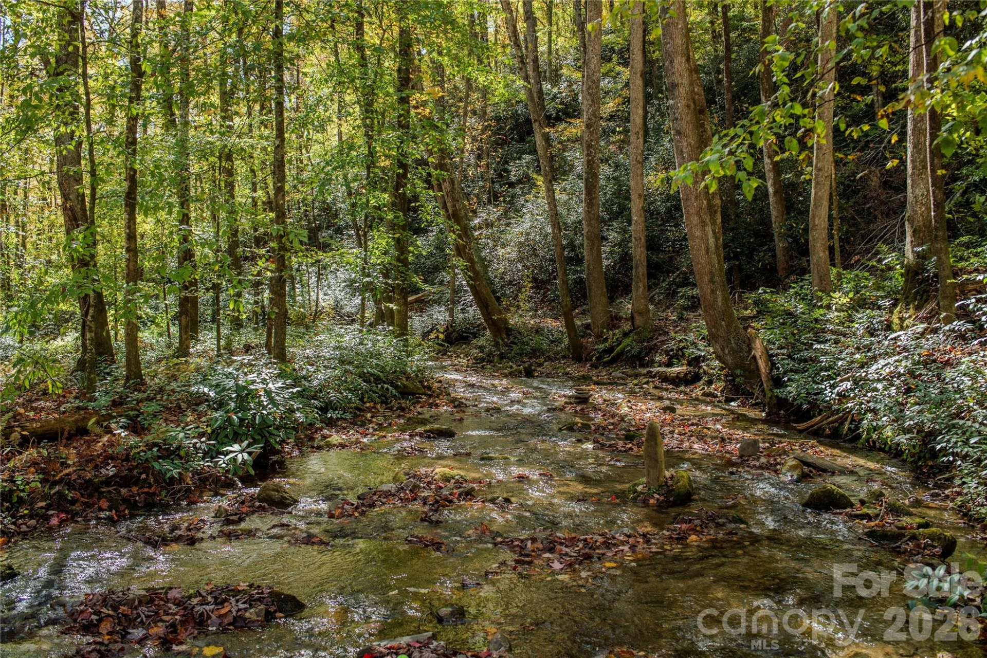 195 Still Waters Lane - Photo 22