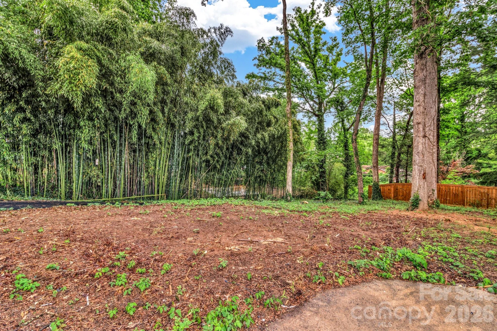 4 Barnes Road - Photo 40
