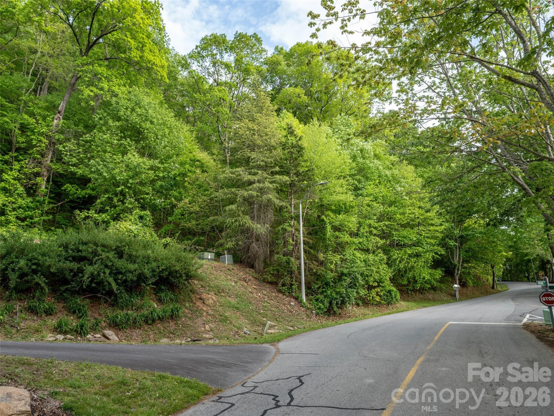 Lot 13 Breckenridge Road - Photo 4