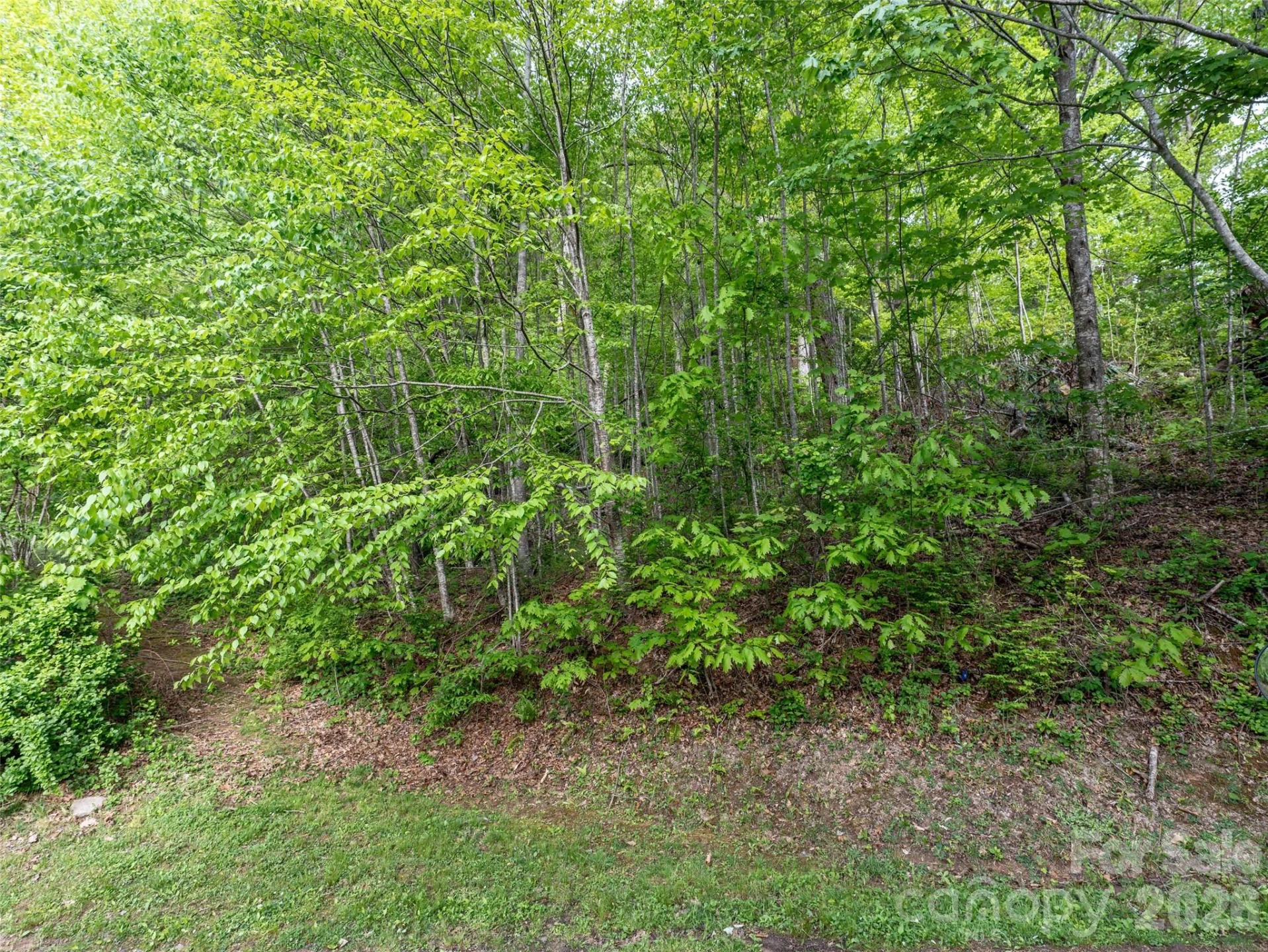 Lot 13 Breckenridge Road - Photo 5