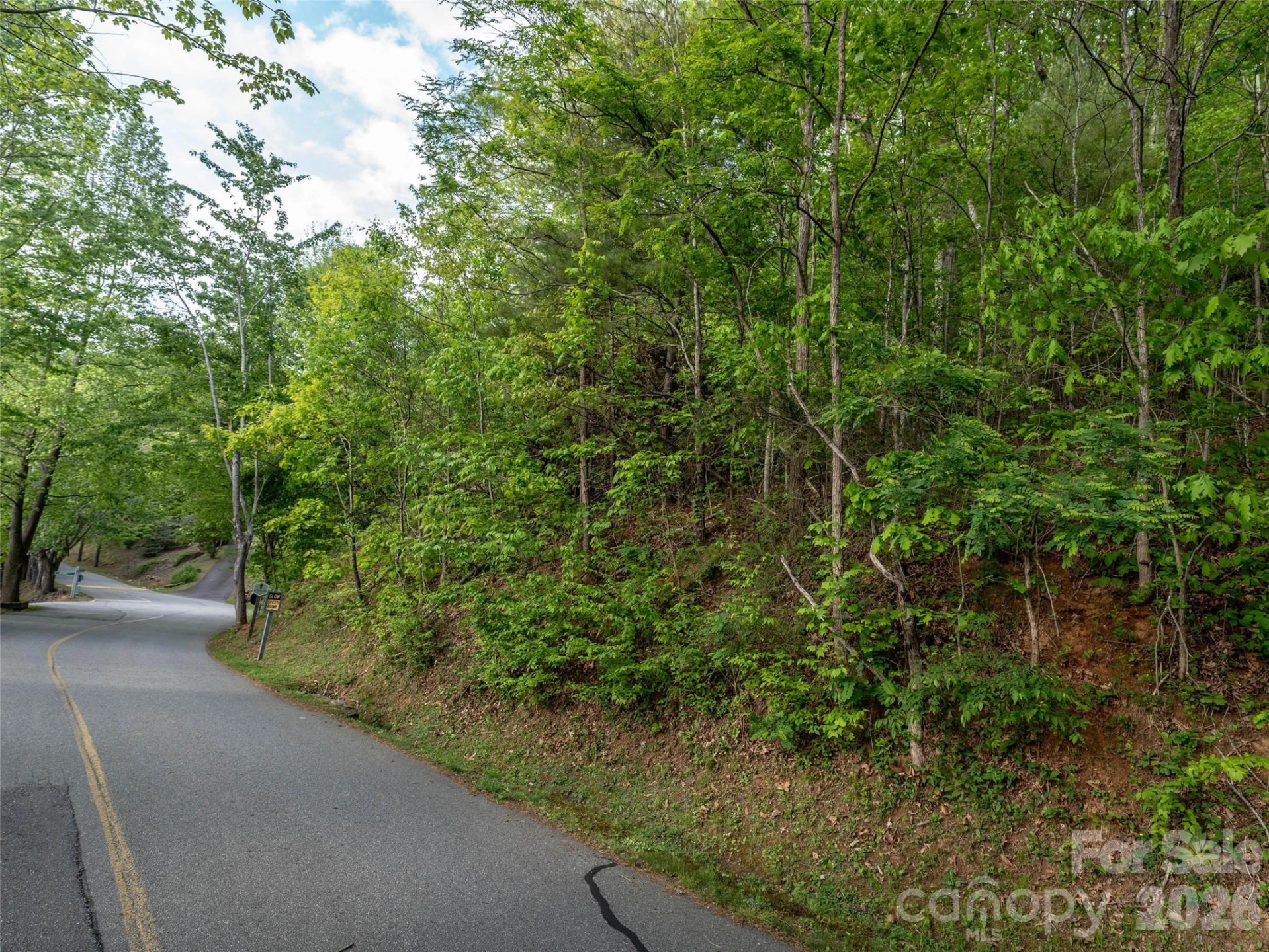 Lot 13 Breckenridge Road - Photo 8