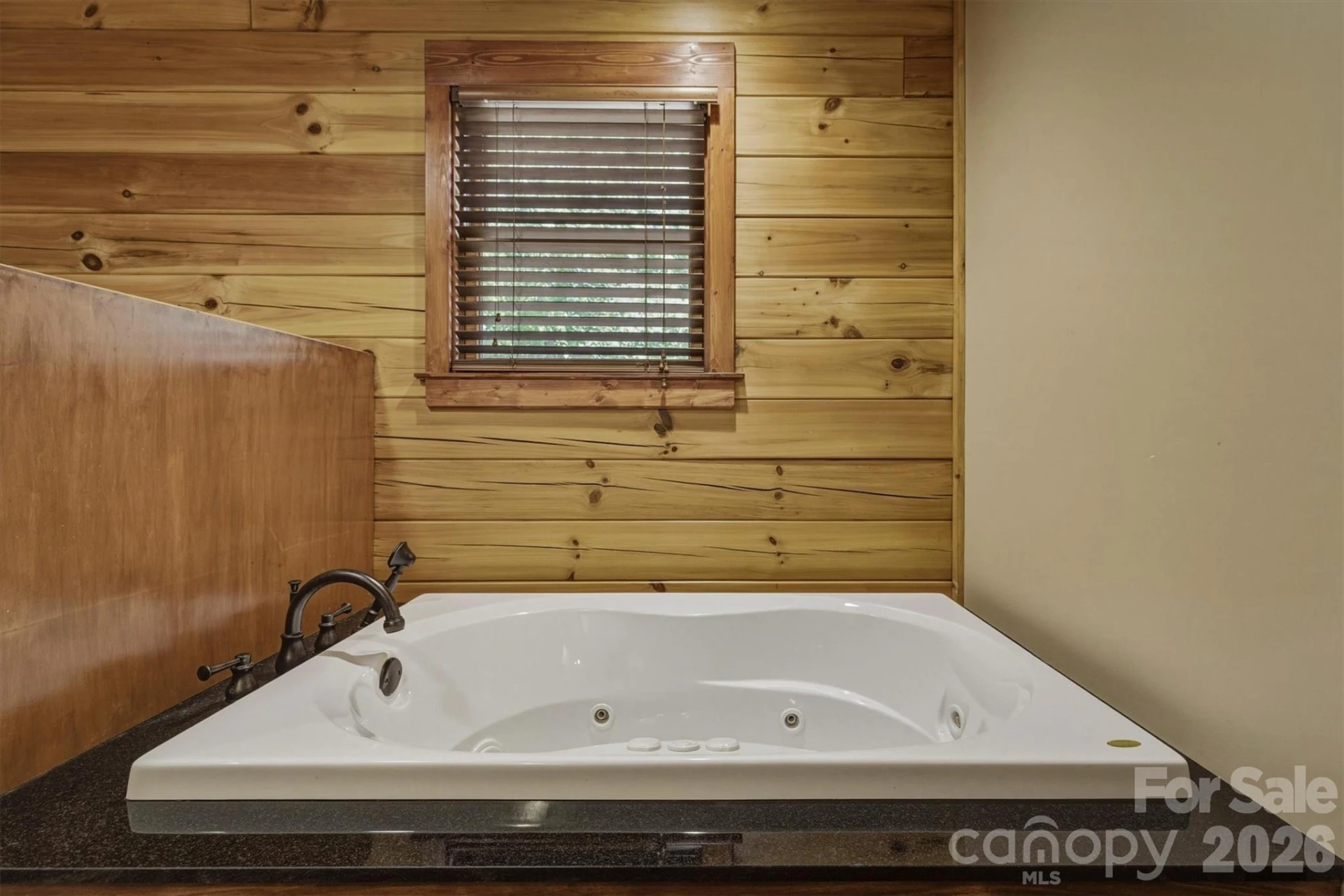 732 Grandview Peaks Drive - Photo 19