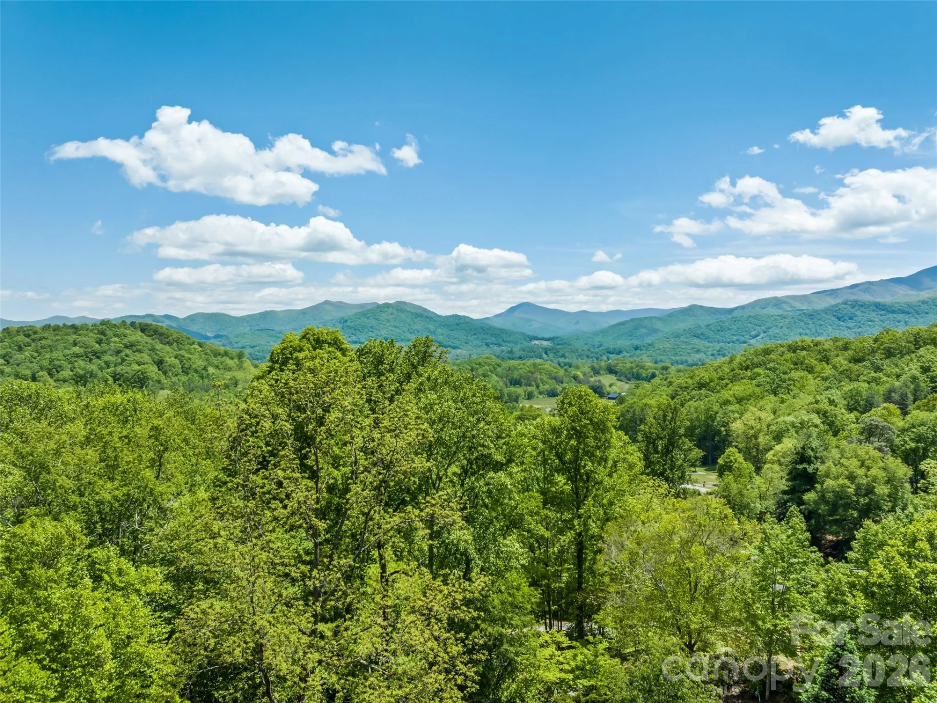 300 Kelly Springs Road - Photo 4