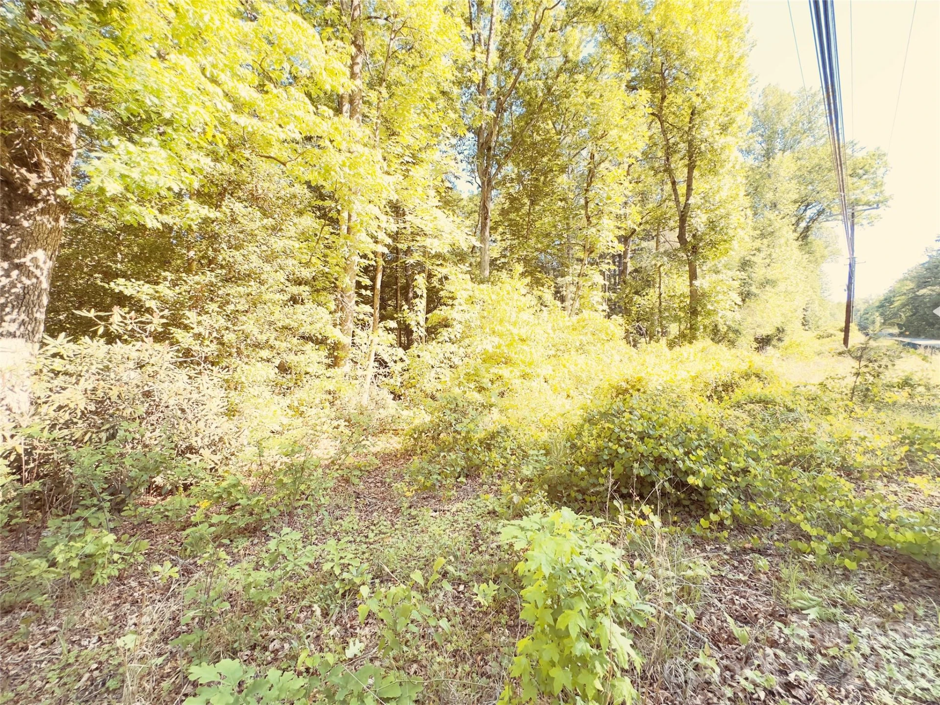 00 Cedar Brook Lane #13B & 15 - Photo 2