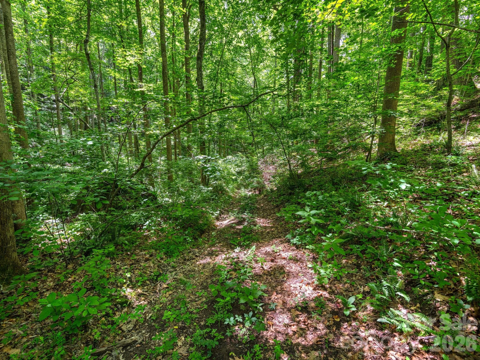 181 Harley Davidson Drive - Photo 16