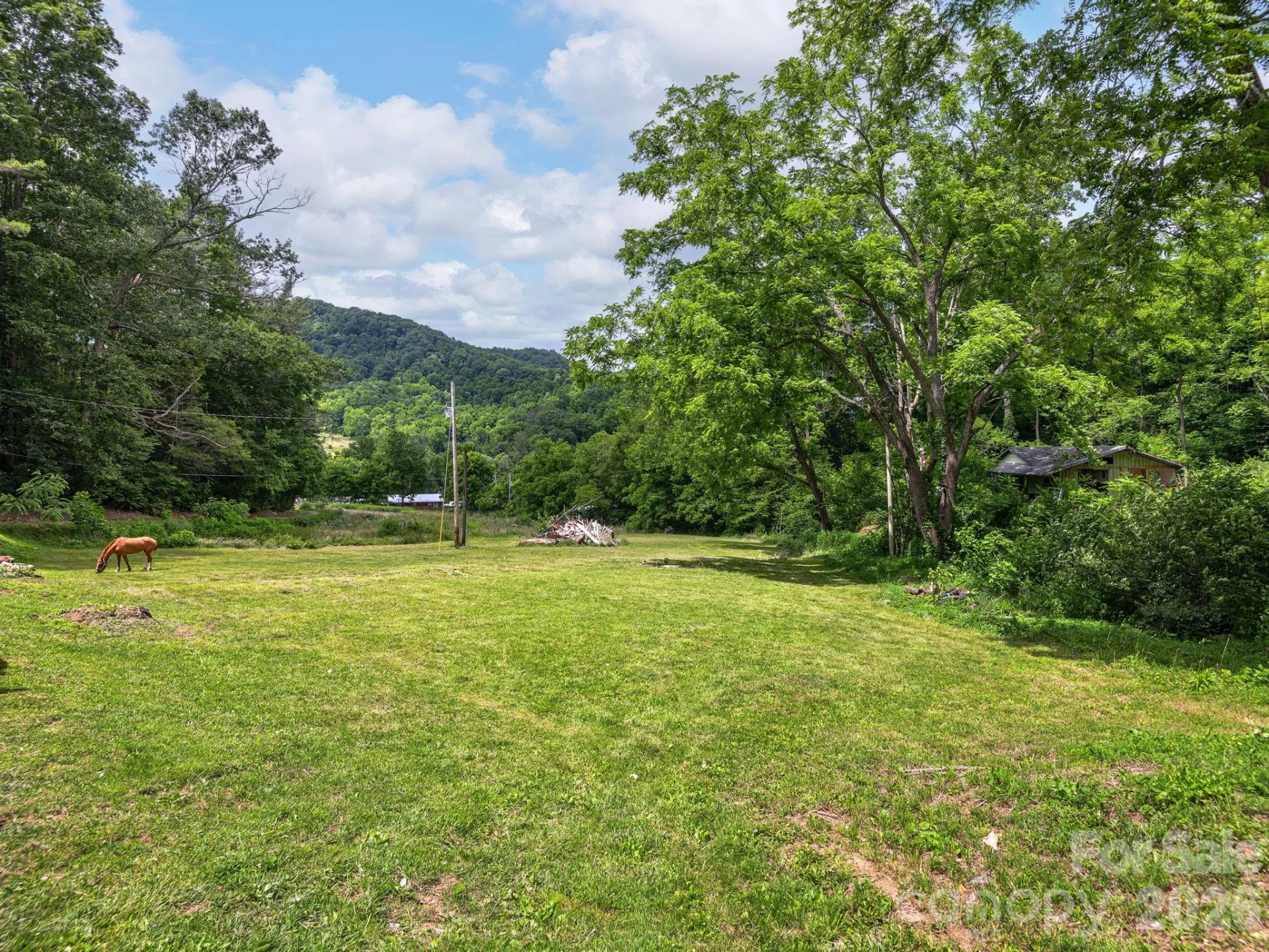181 Harley Davidson Drive - Photo 3