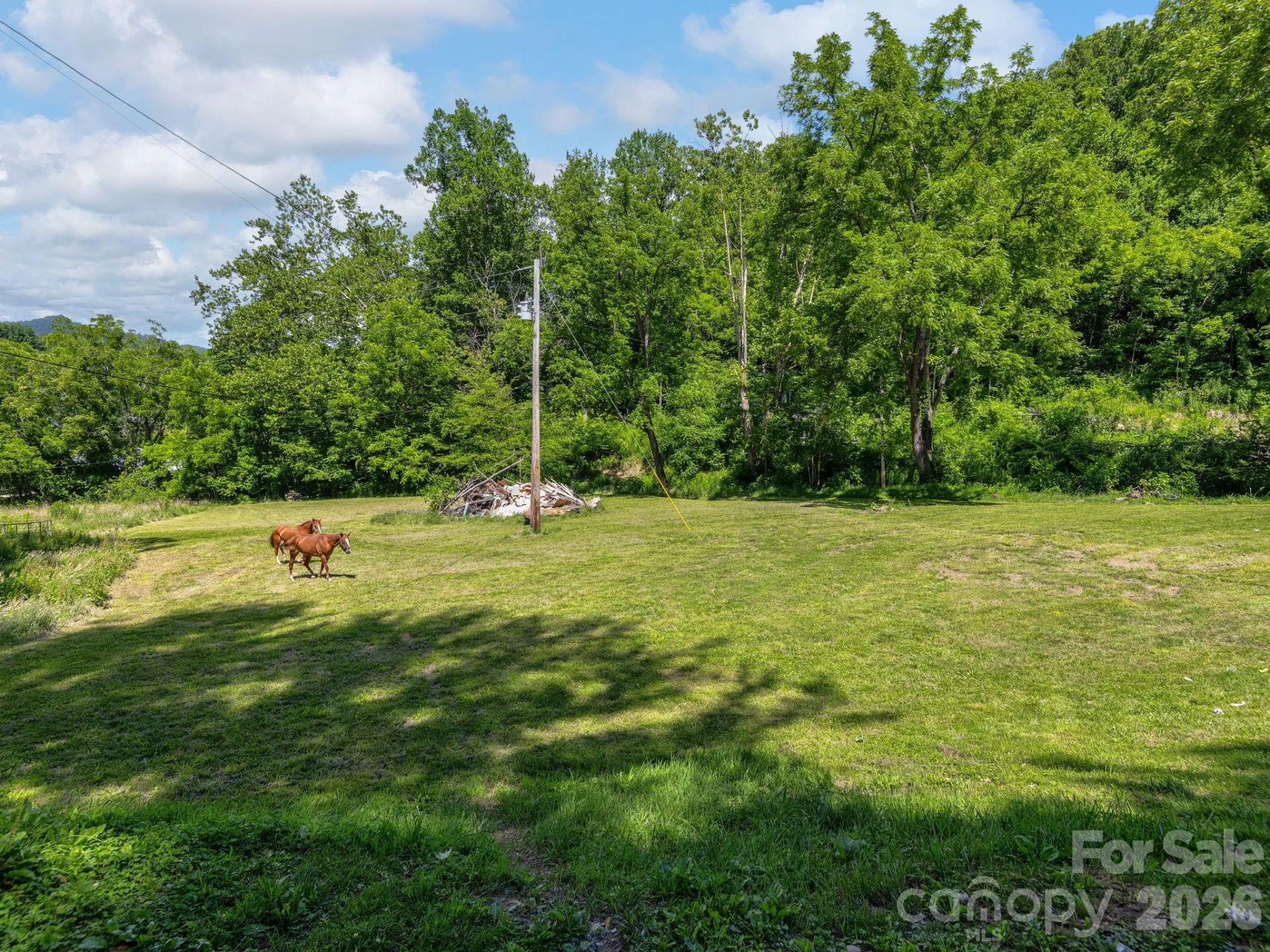 181 Harley Davidson Drive - Photo 4