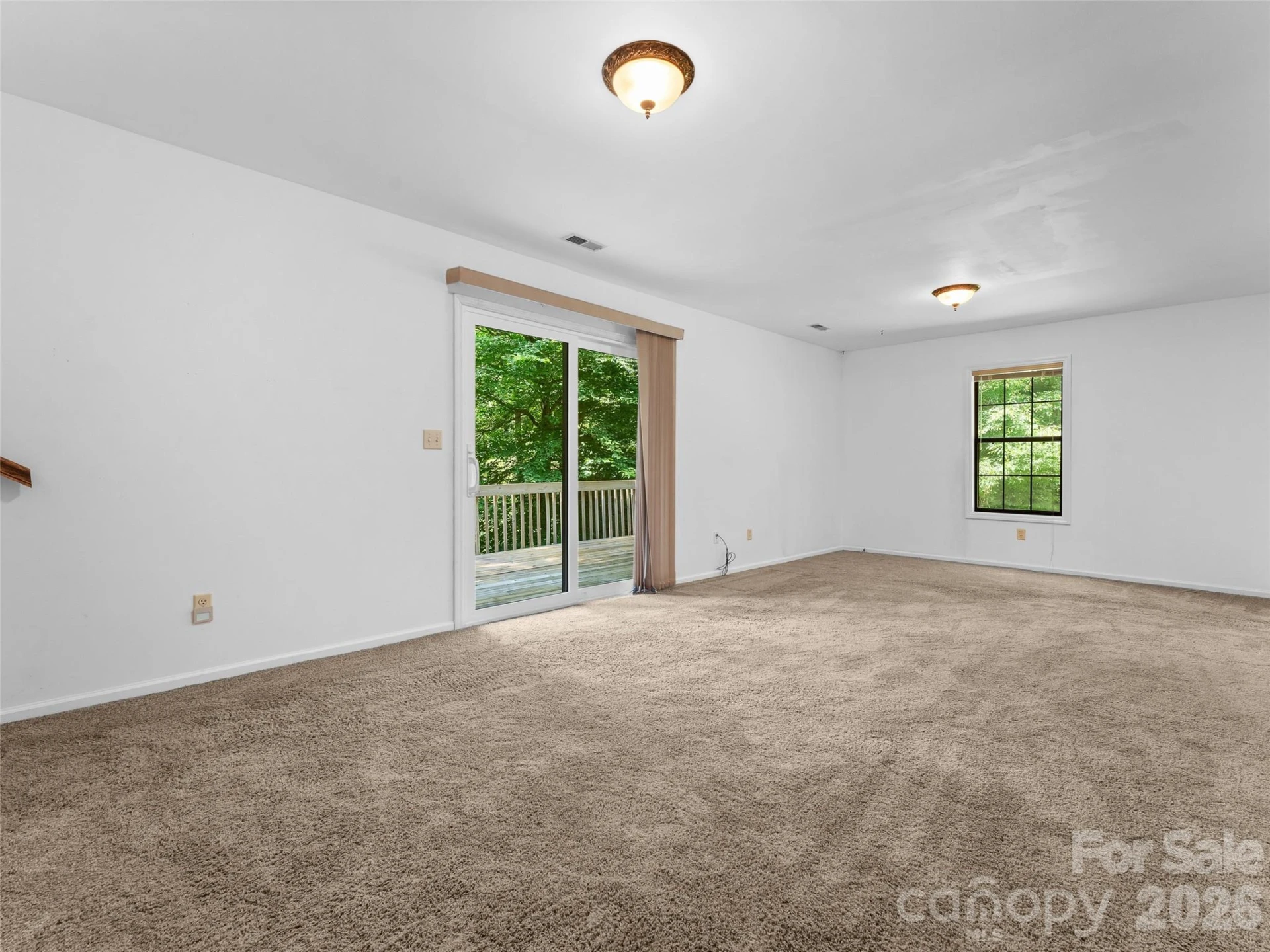 323 Burrell Mountain Road - Photo 19