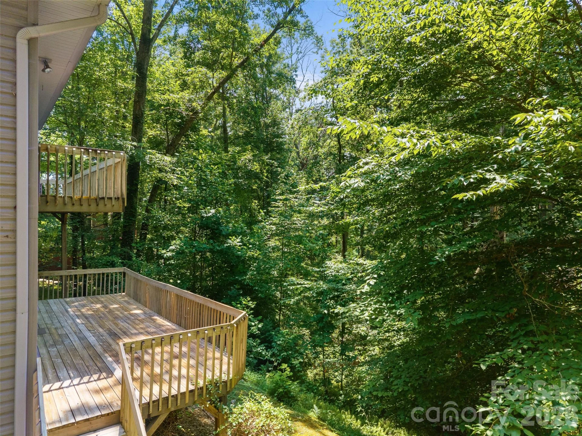 323 Burrell Mountain Road - Photo 4