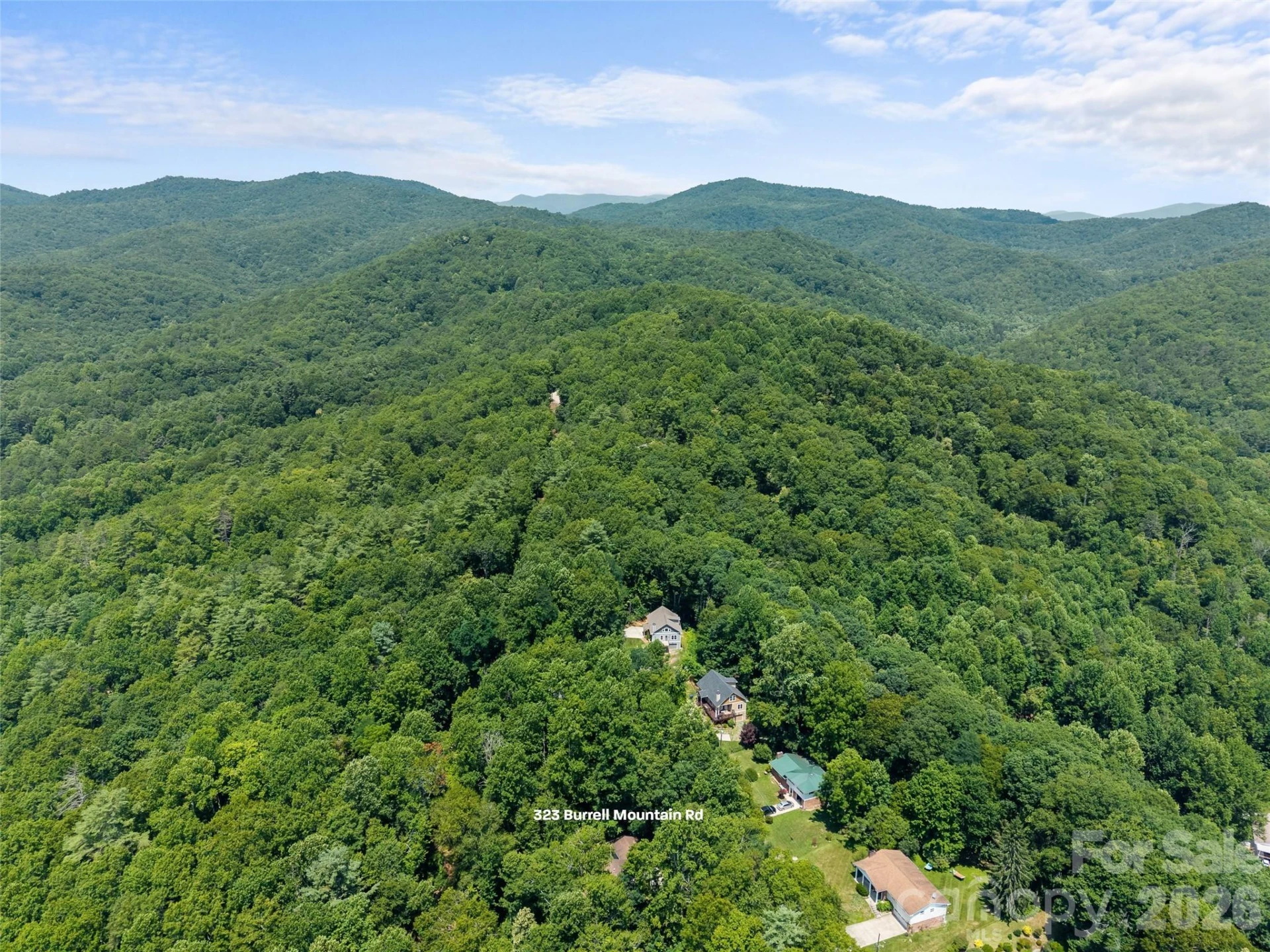 323 Burrell Mountain Road - Photo 6