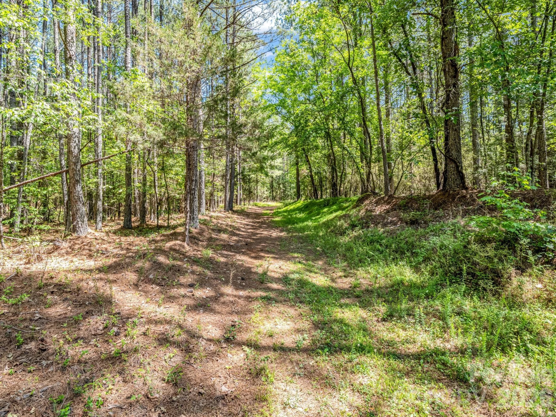 0 Jim Dobbins Road - Photo 3