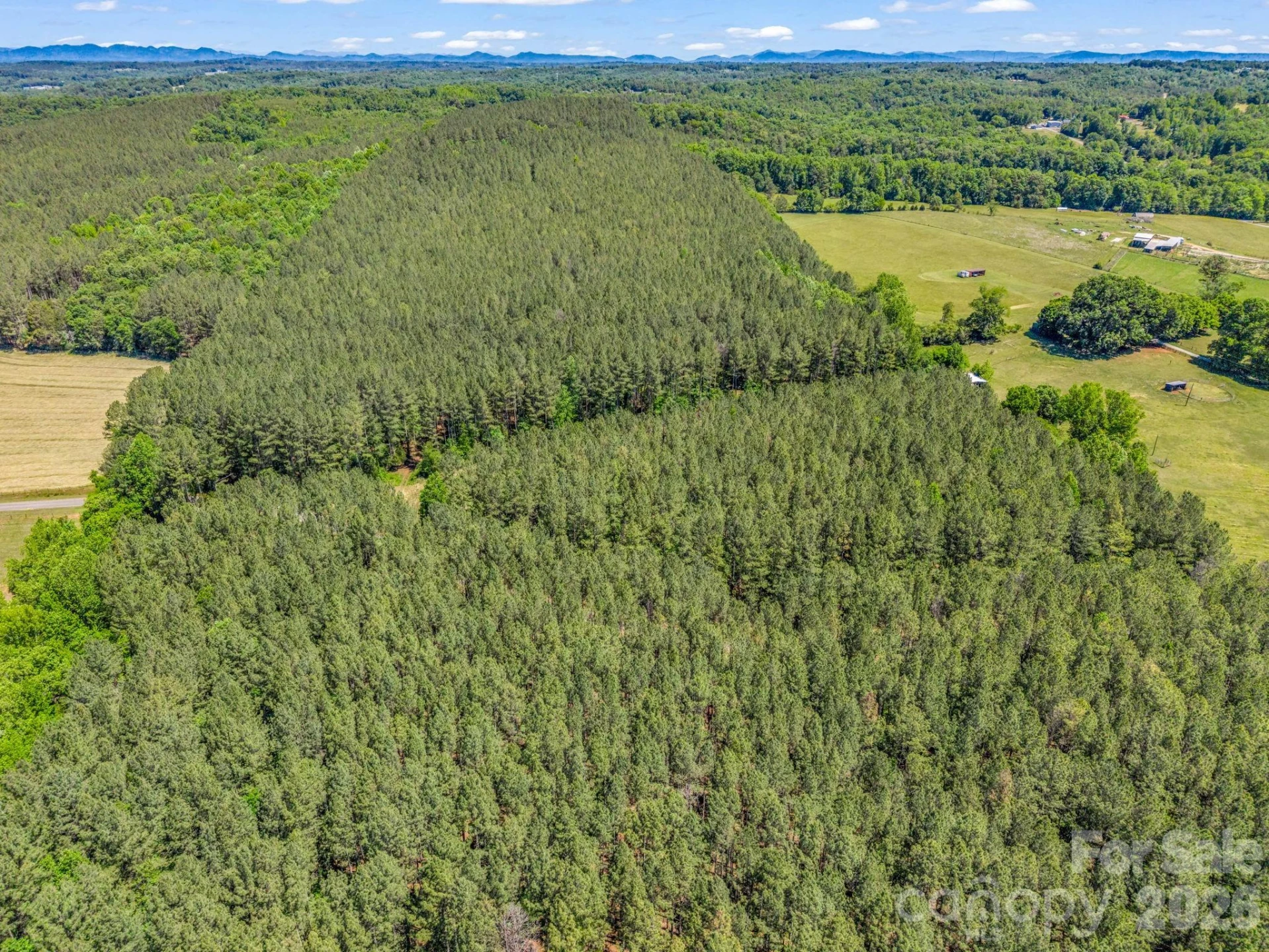 0 Jim Dobbins Road - Photo 16