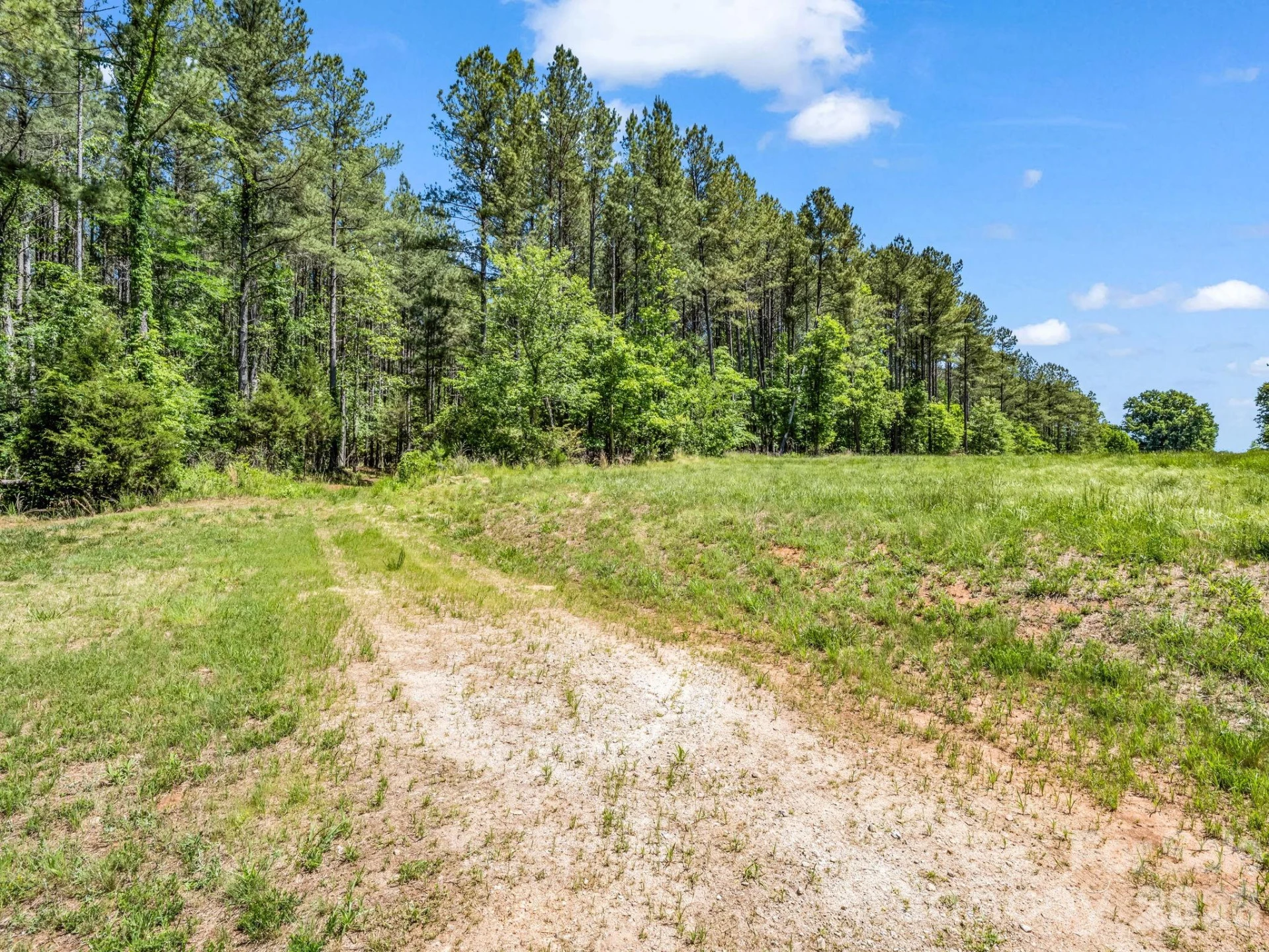 0 Jim Dobbins Road - Photo 17