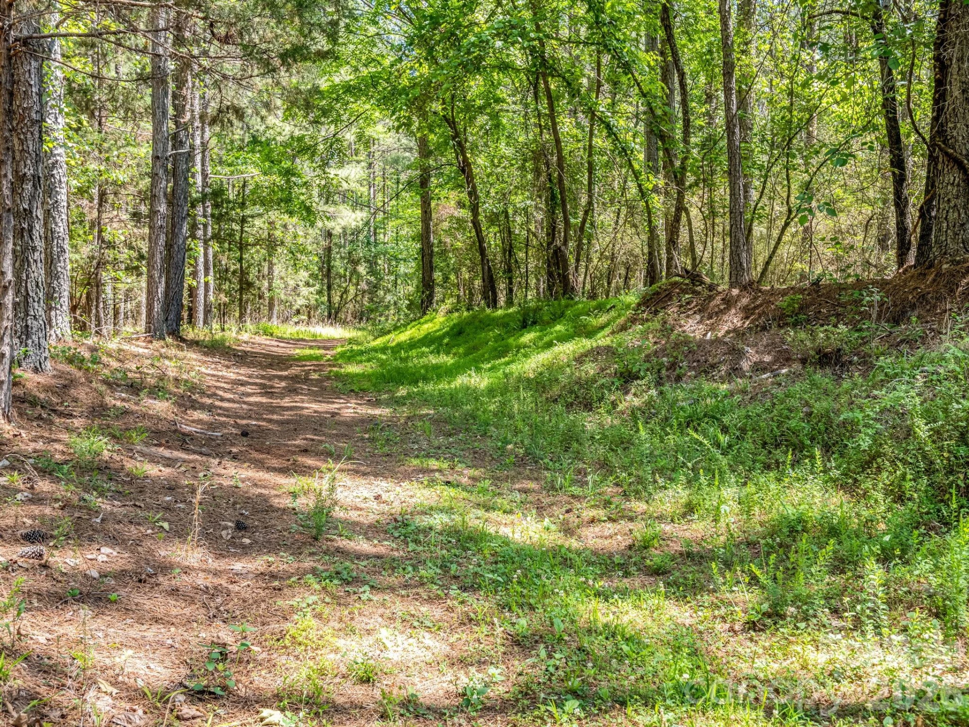 0 Jim Dobbins Road - Photo 19