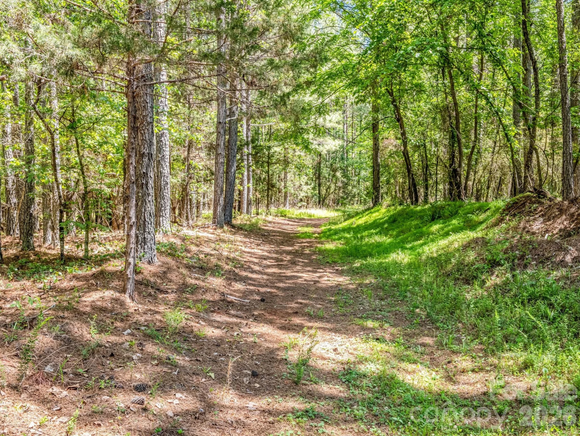 0 Jim Dobbins Road - Photo 20